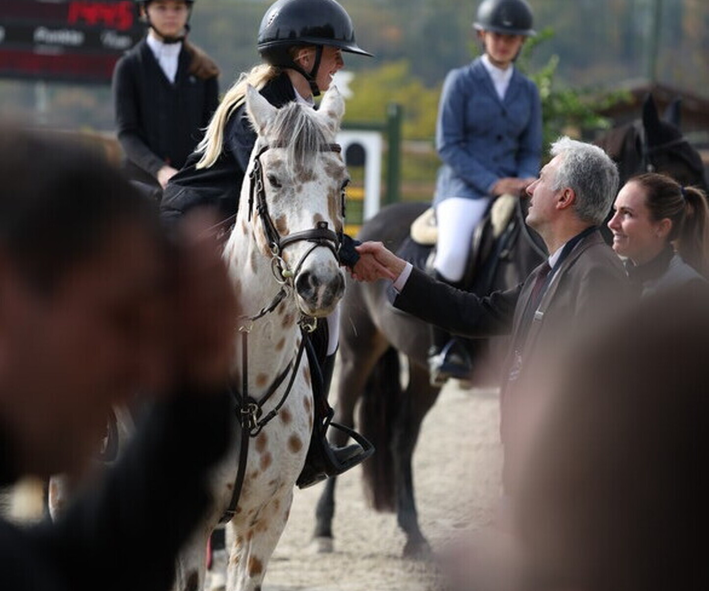 Description de l'image