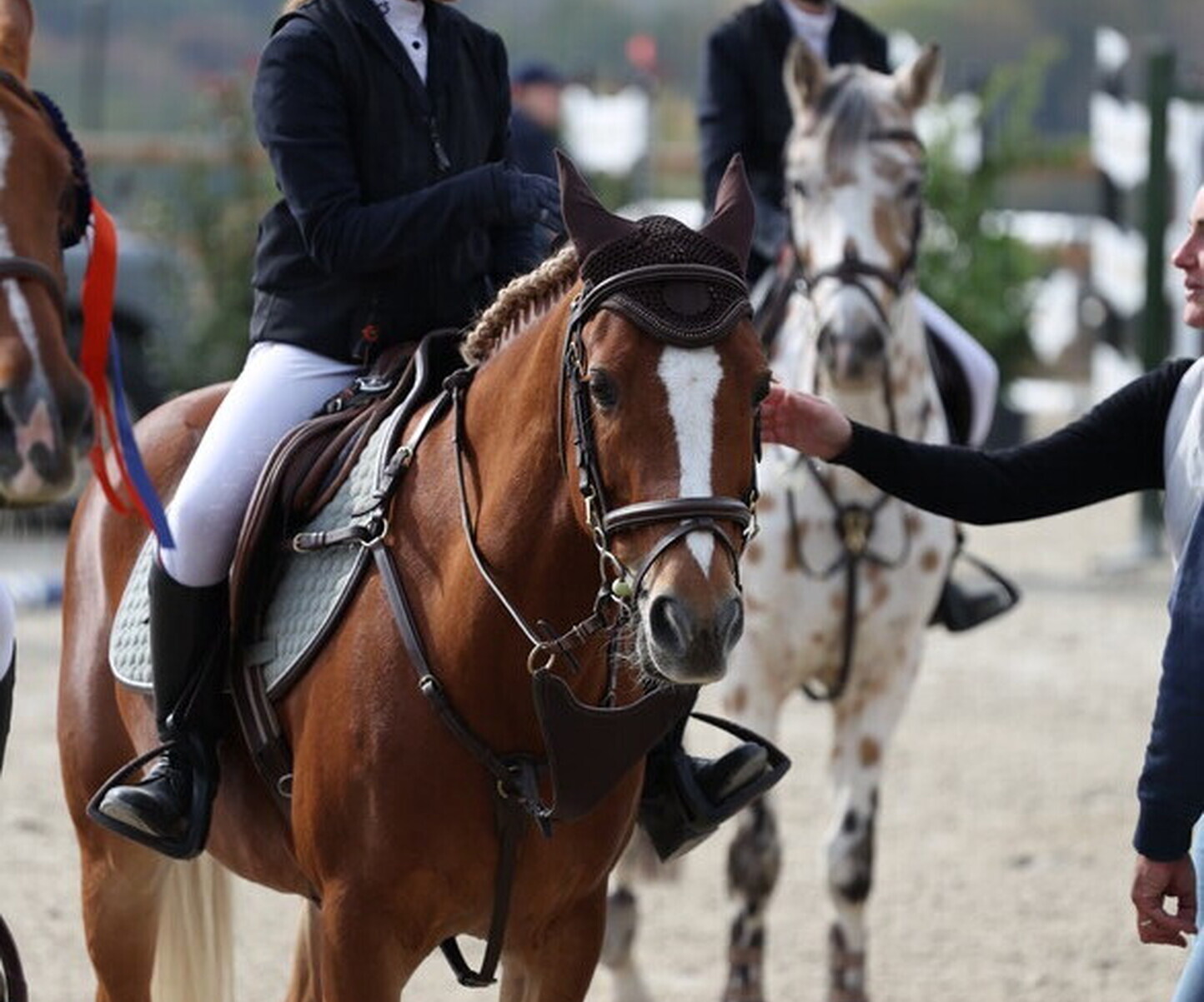 Description de l'image