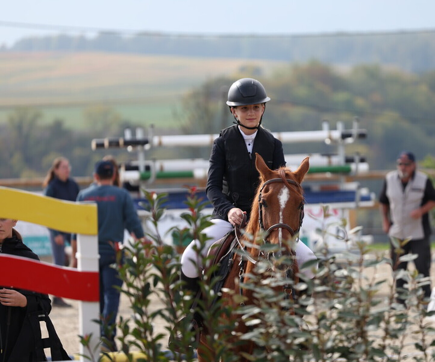 Description de l'image