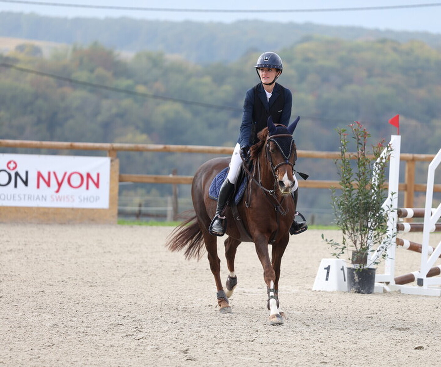 Description de l'image