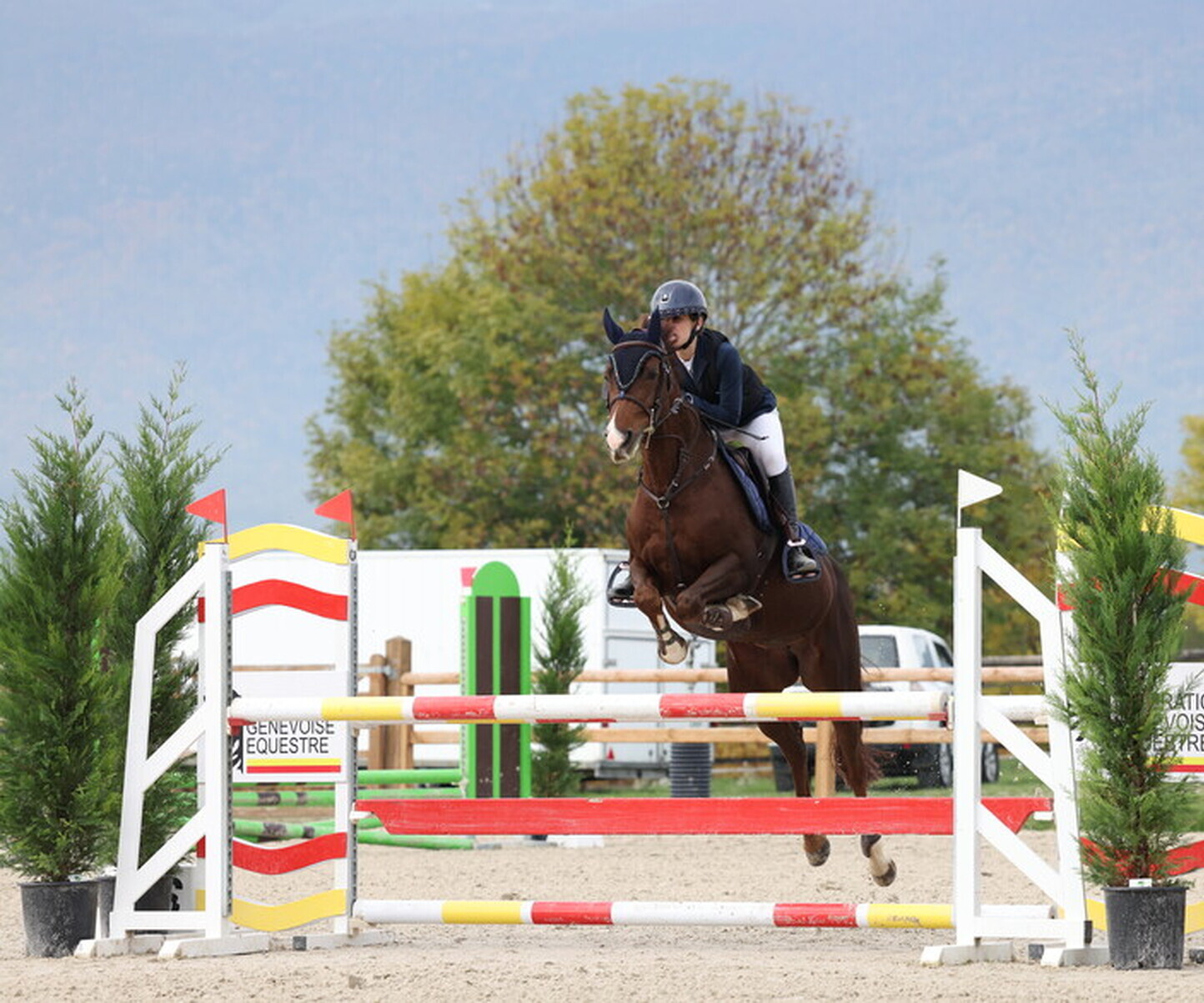 Description de l'image