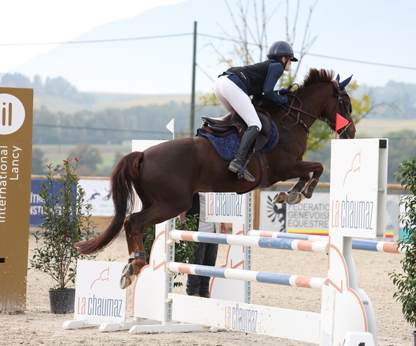 Description de l'image