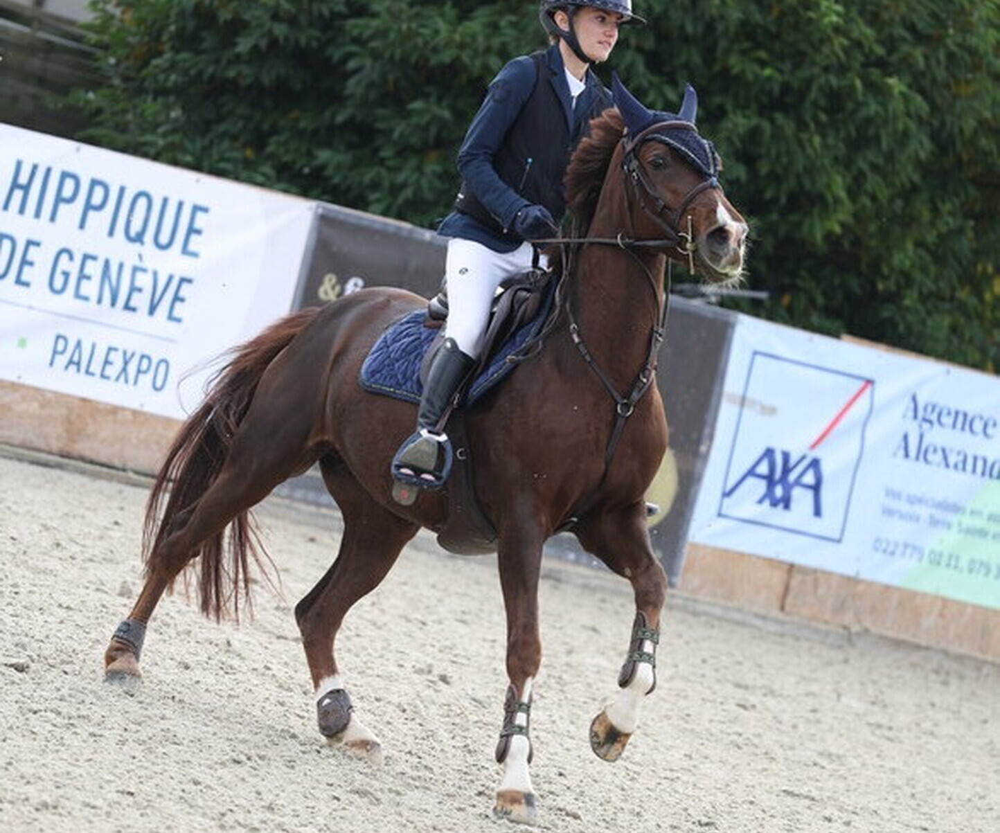 Description de l'image