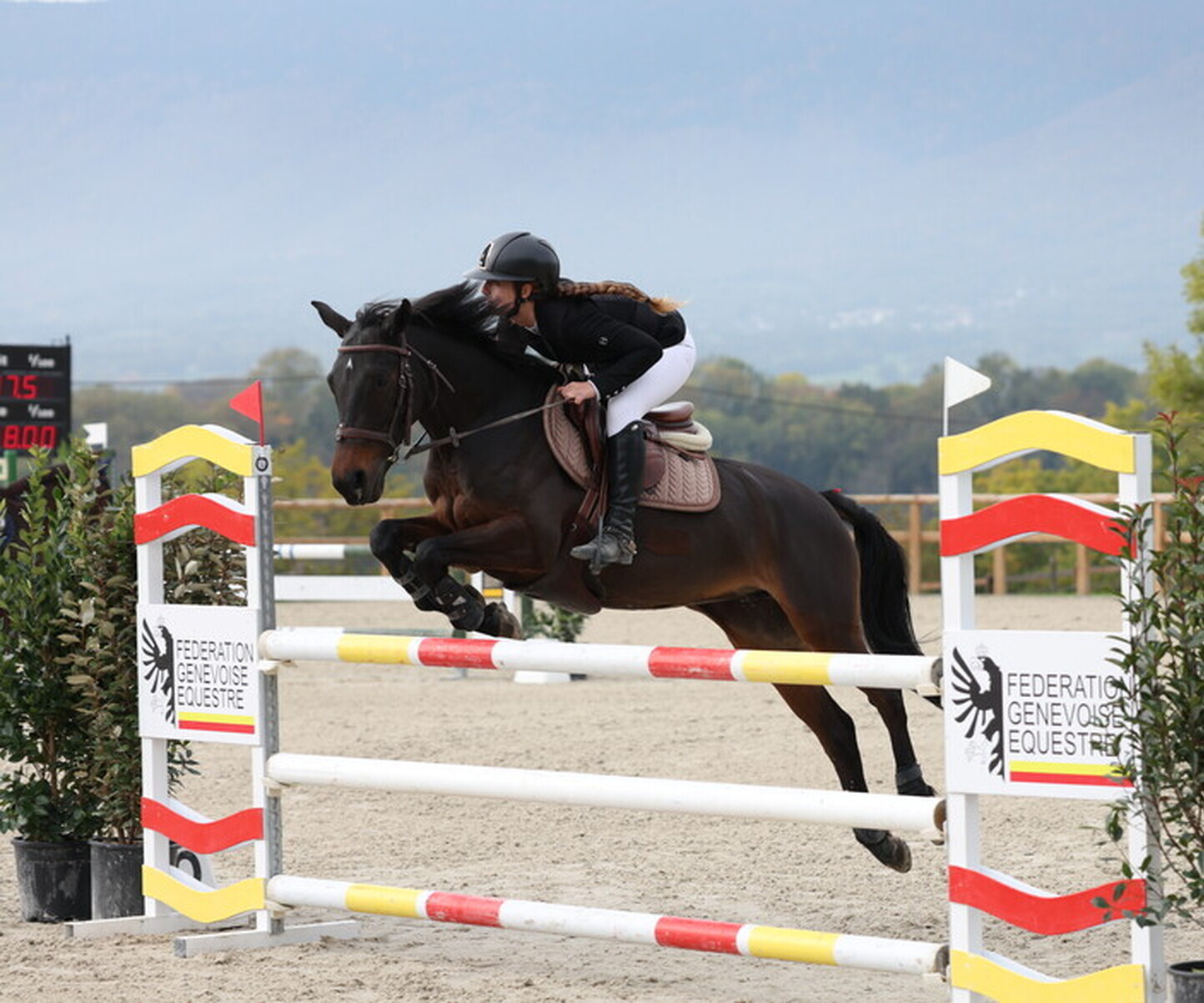 Description de l'image