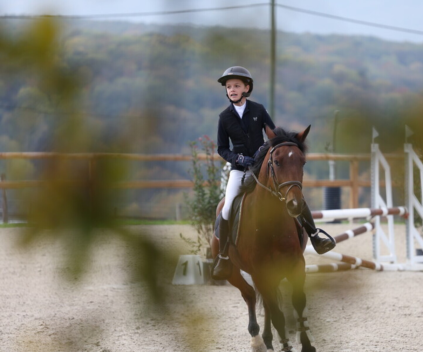 Description de l'image