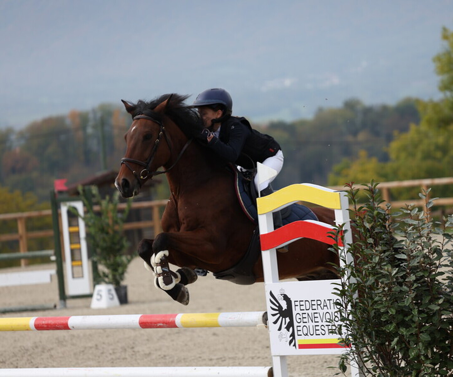 Description de l'image