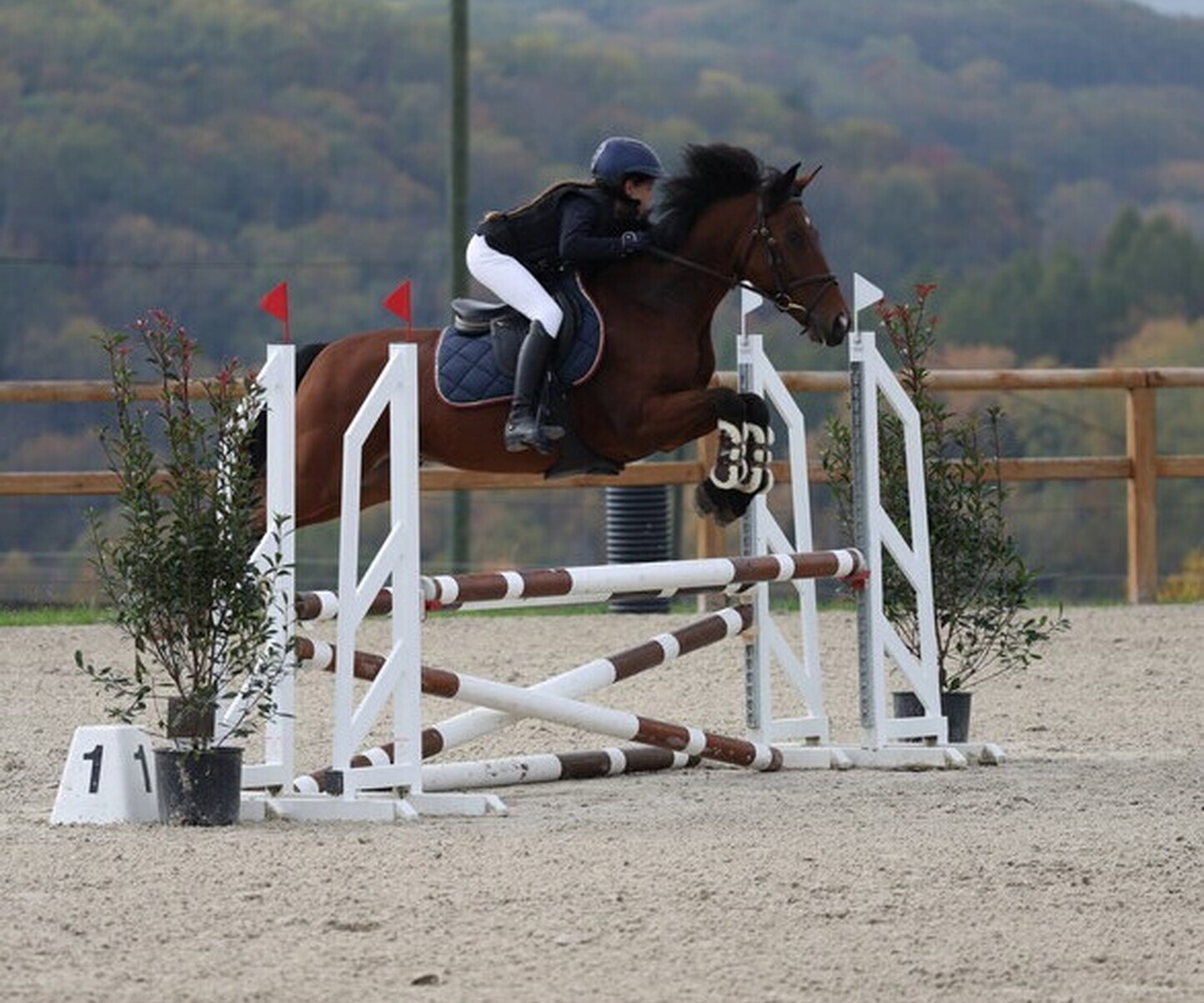 Description de l'image