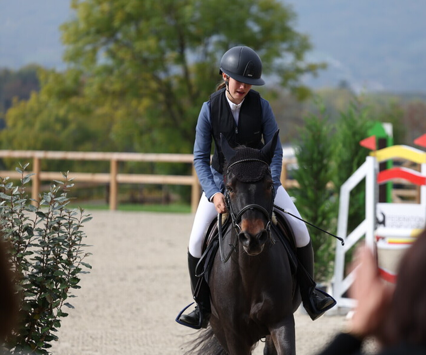 Description de l'image