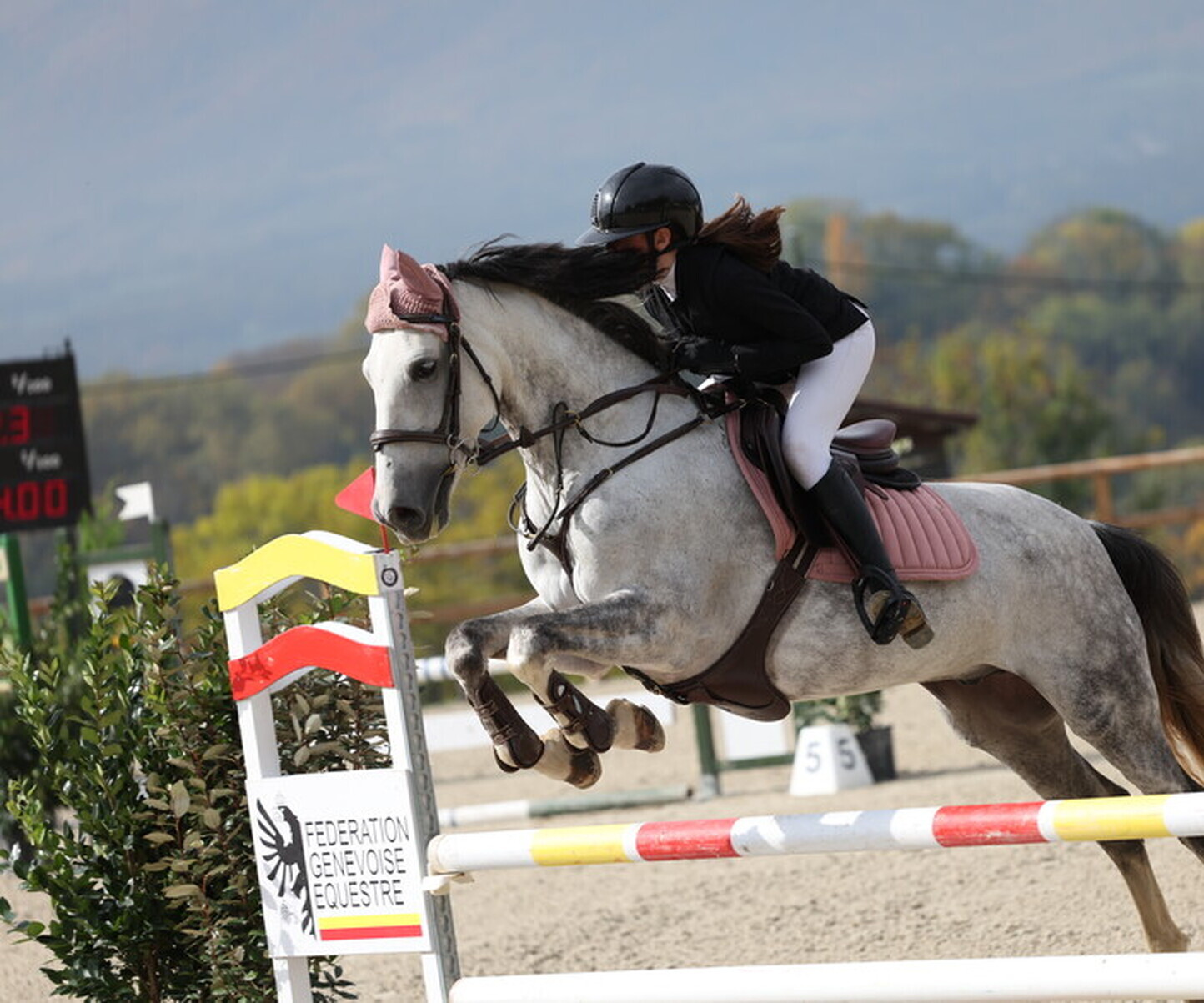 Description de l'image