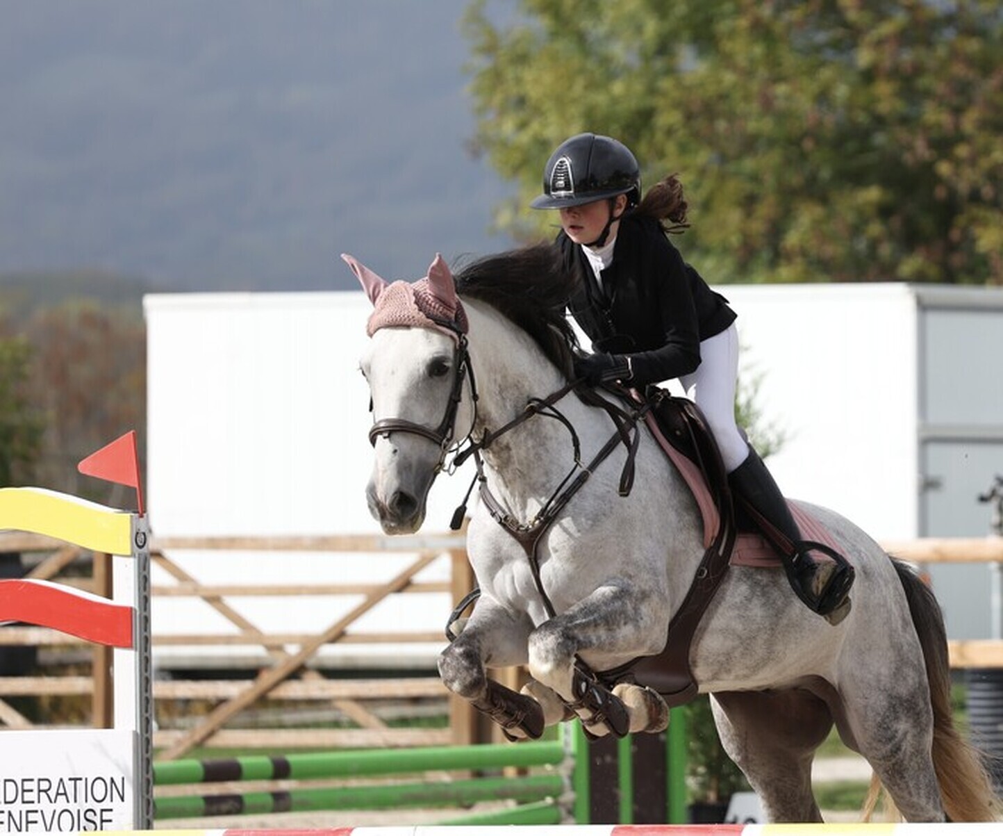 Description de l'image