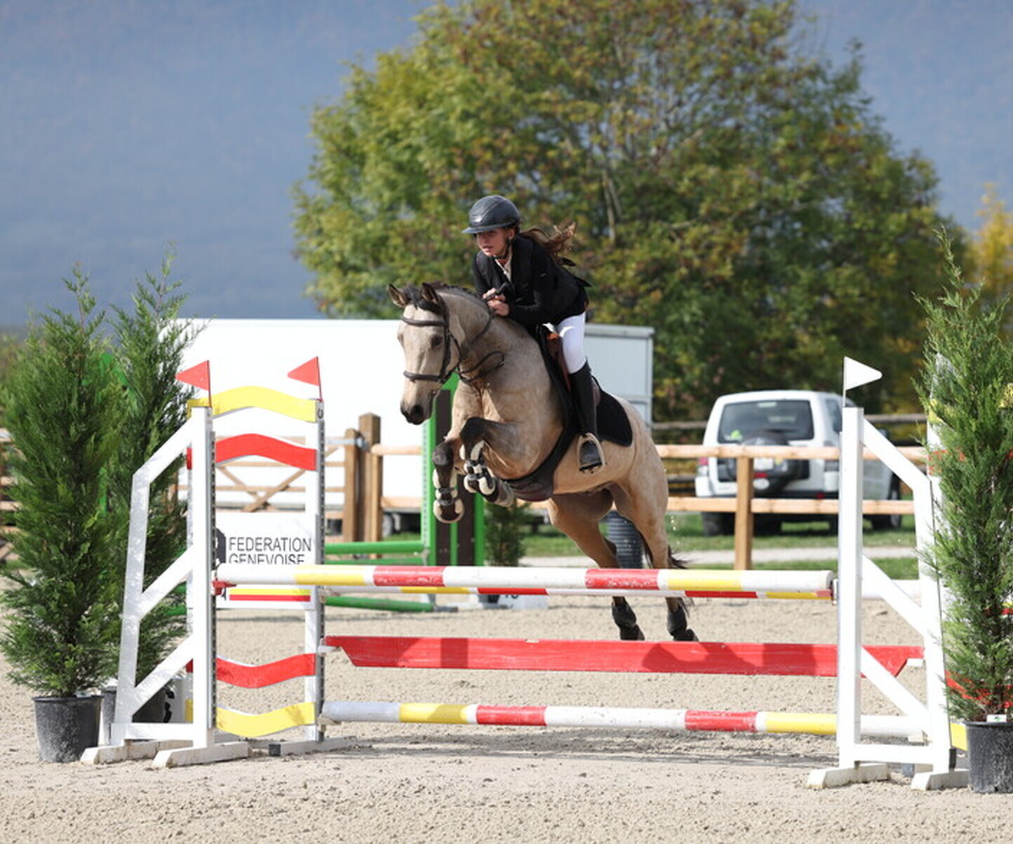 Description de l'image