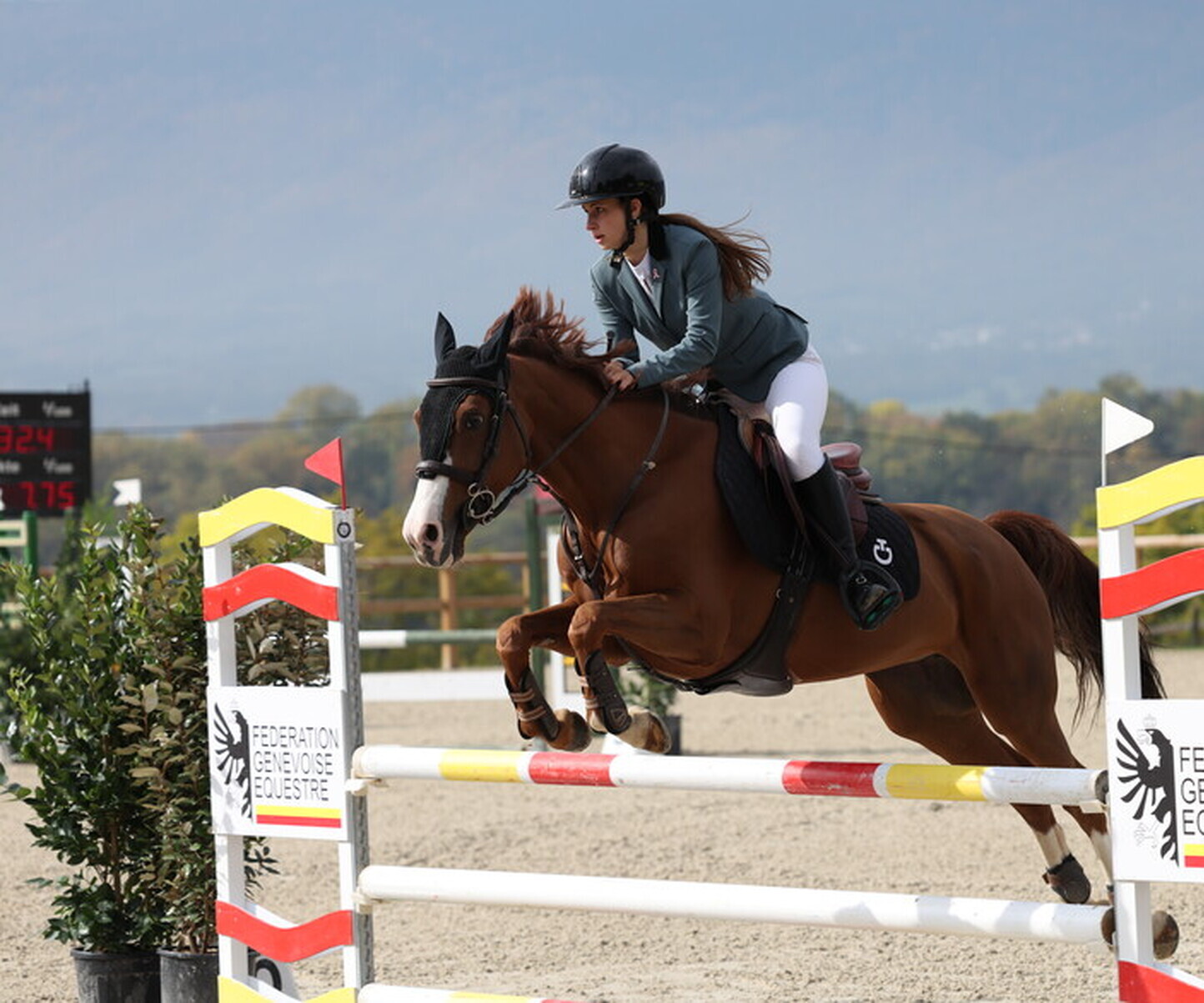 Description de l'image