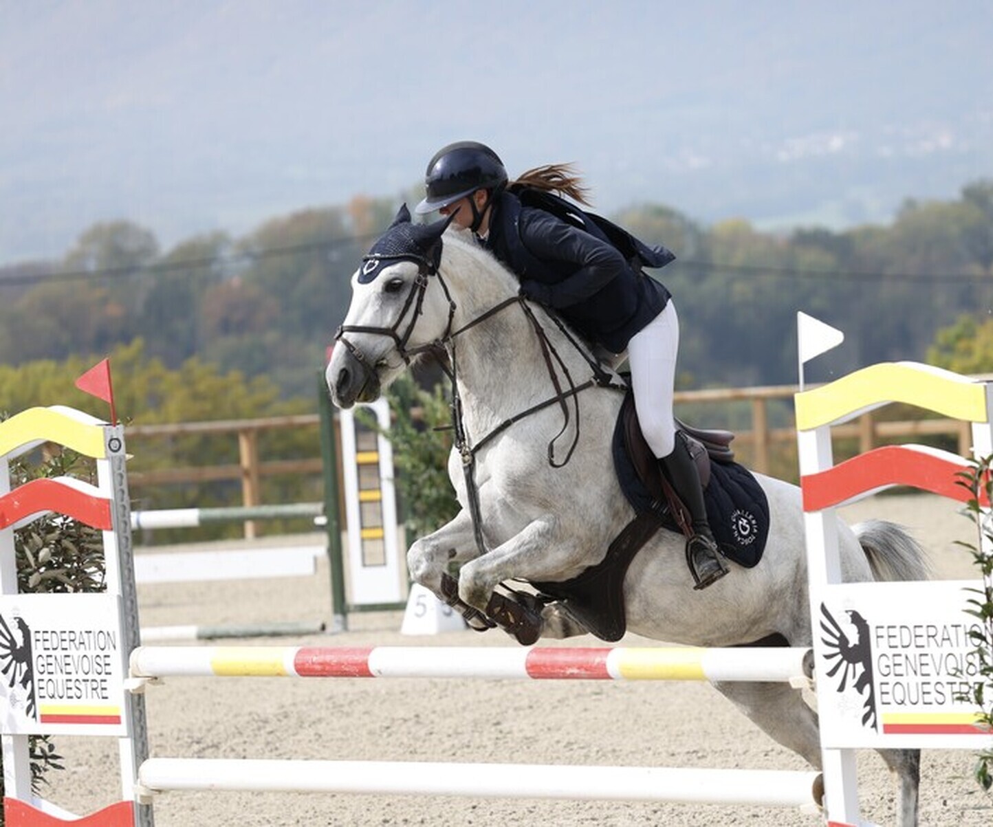 Description de l'image