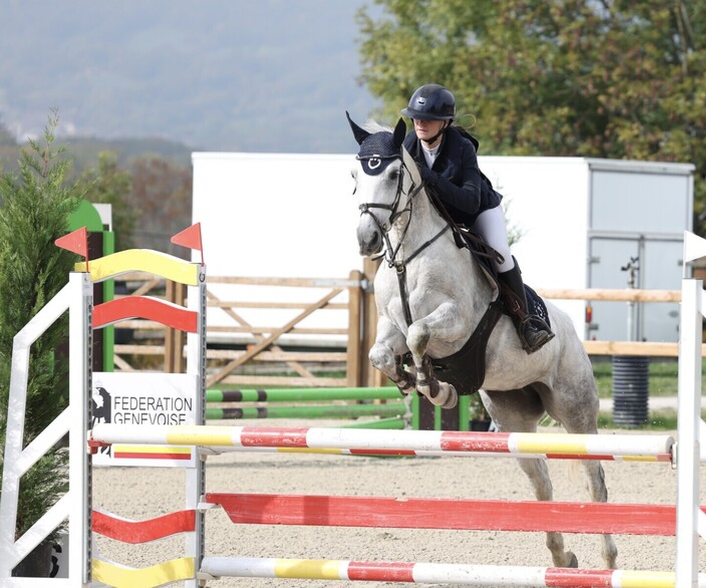 Description de l'image