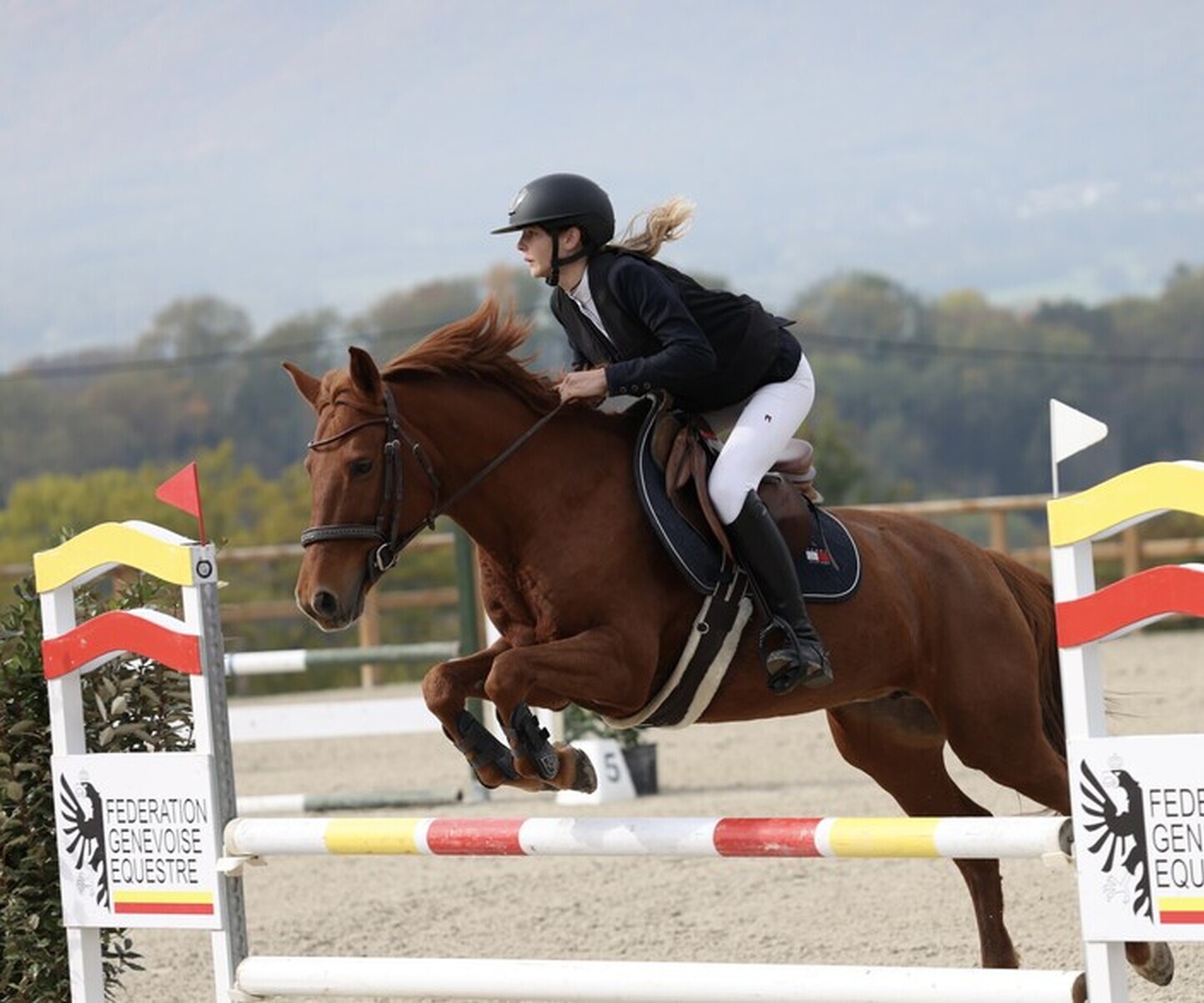 Description de l'image