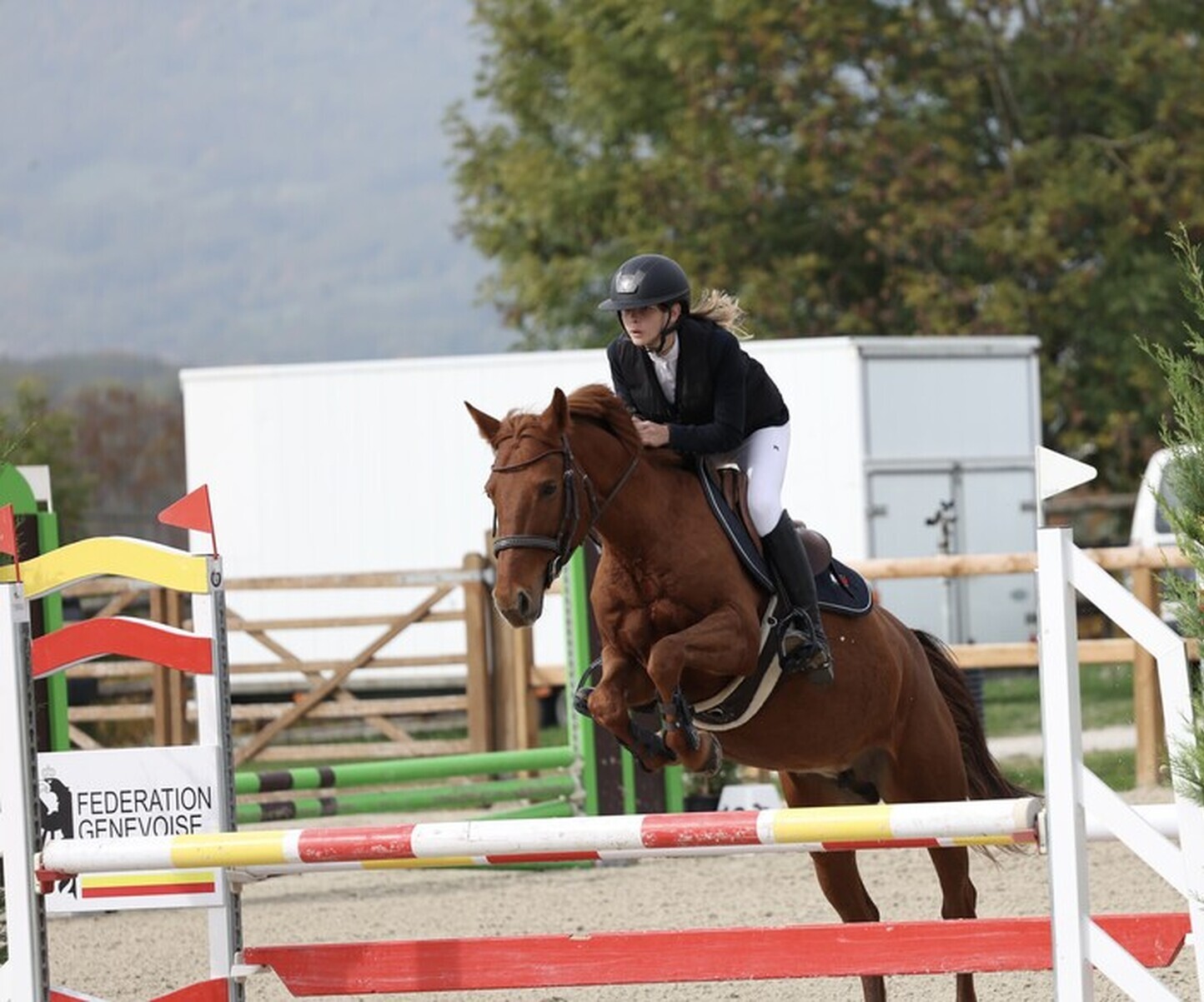 Description de l'image