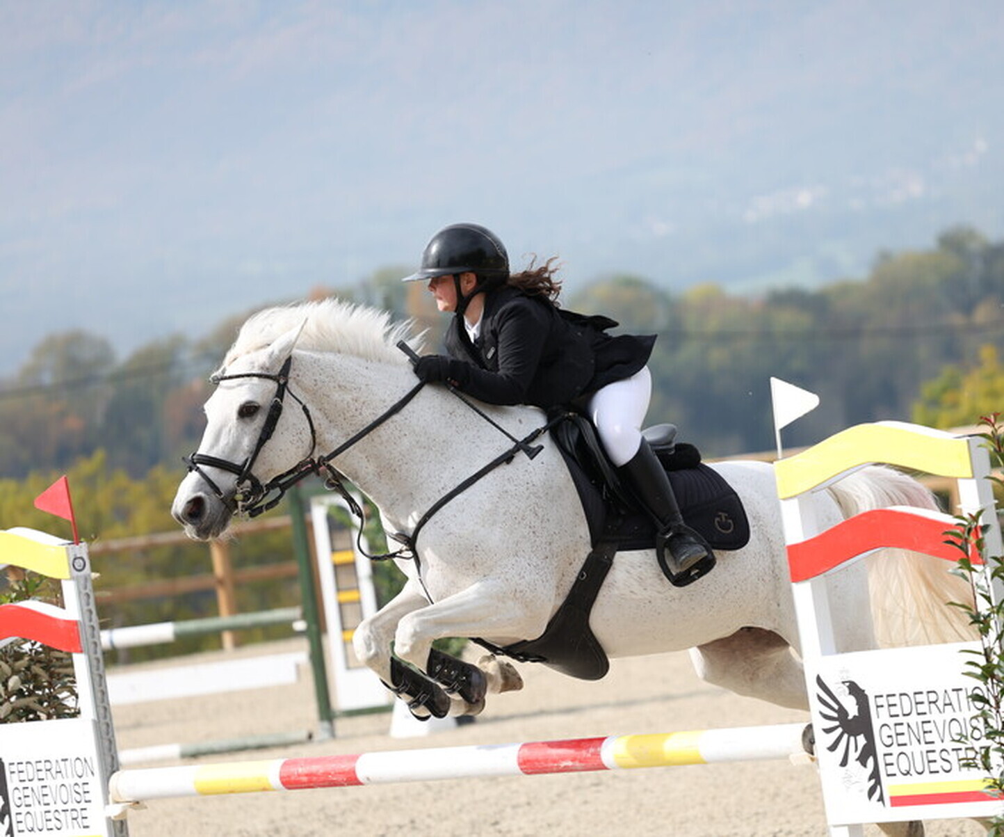 Description de l'image