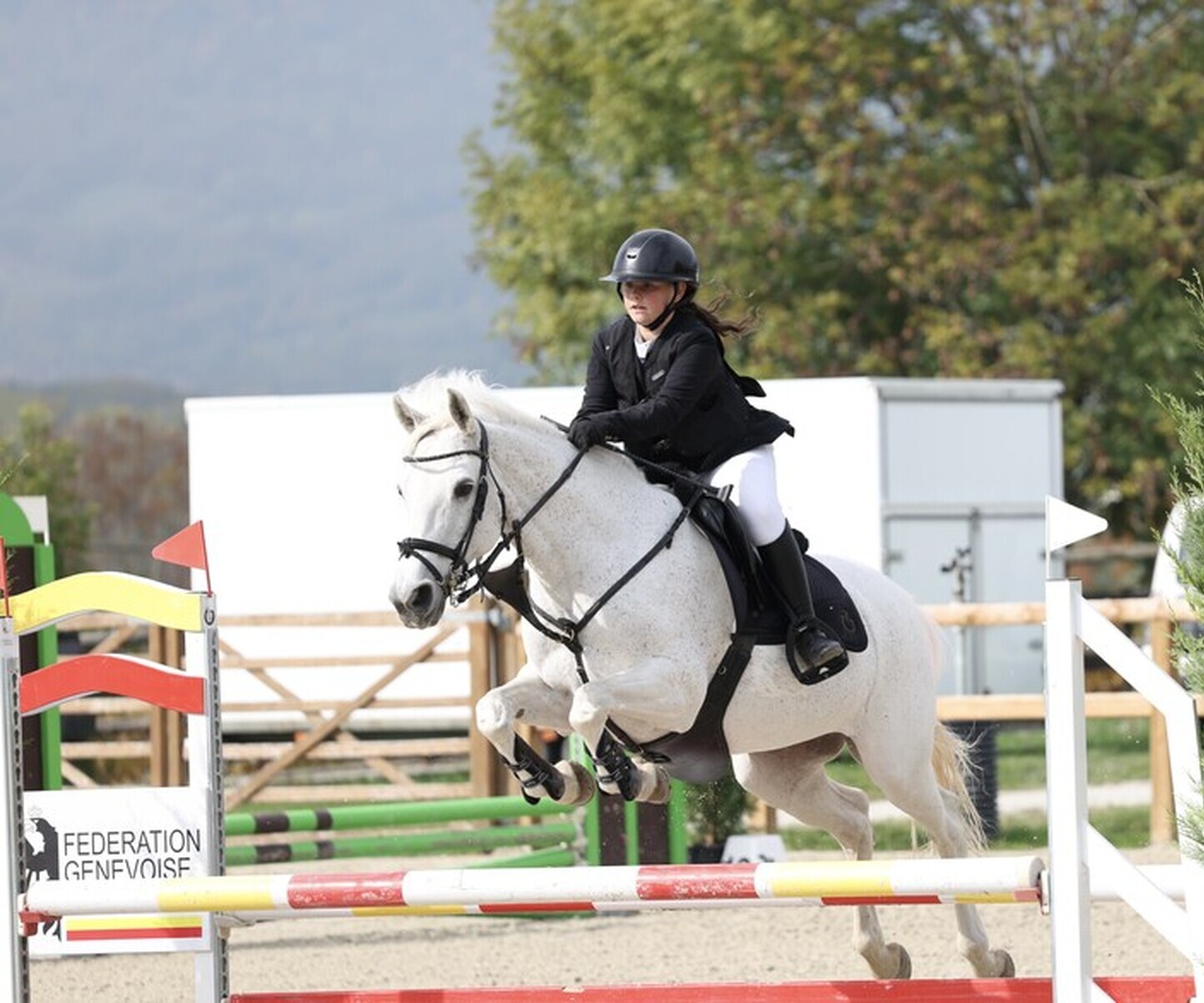 Description de l'image