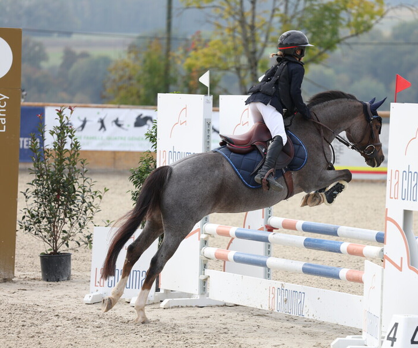 Description de l'image