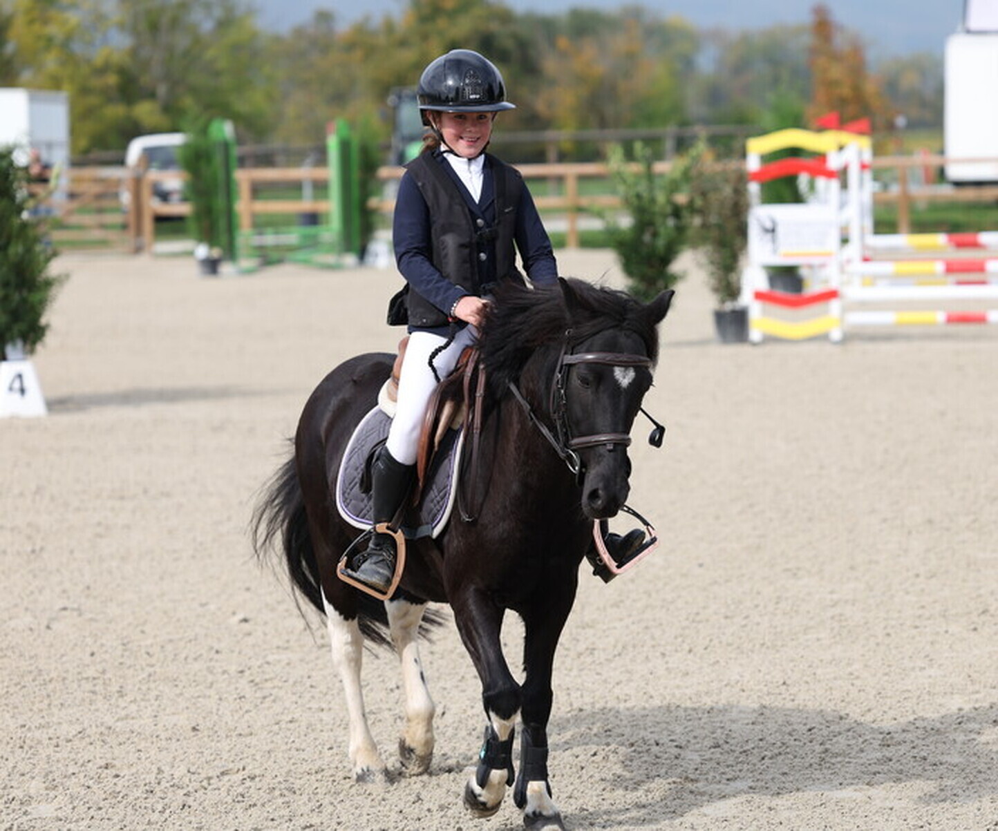 Description de l'image