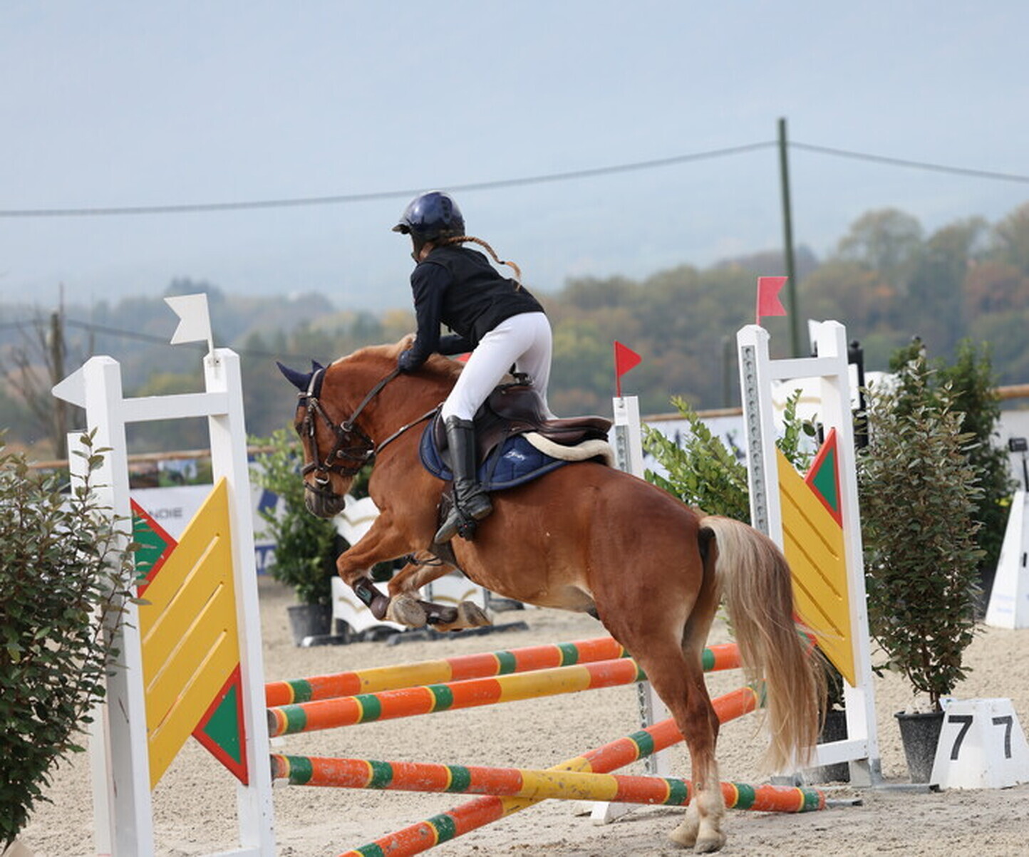 Description de l'image