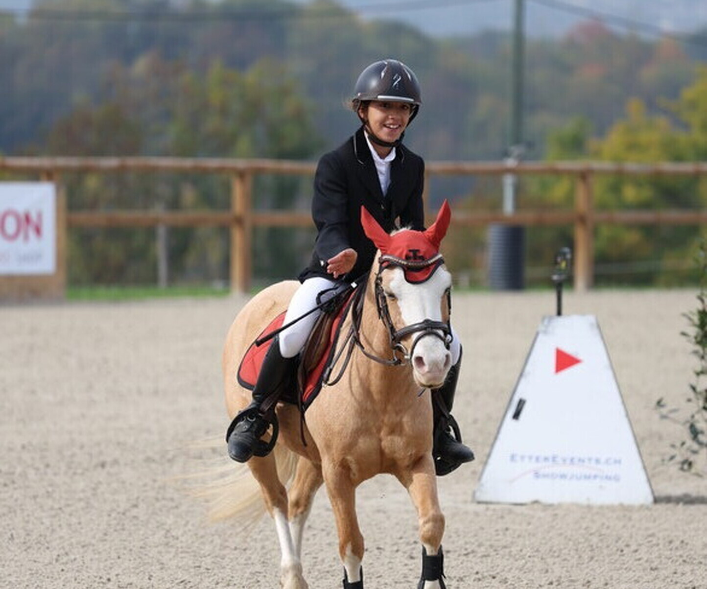 Description de l'image