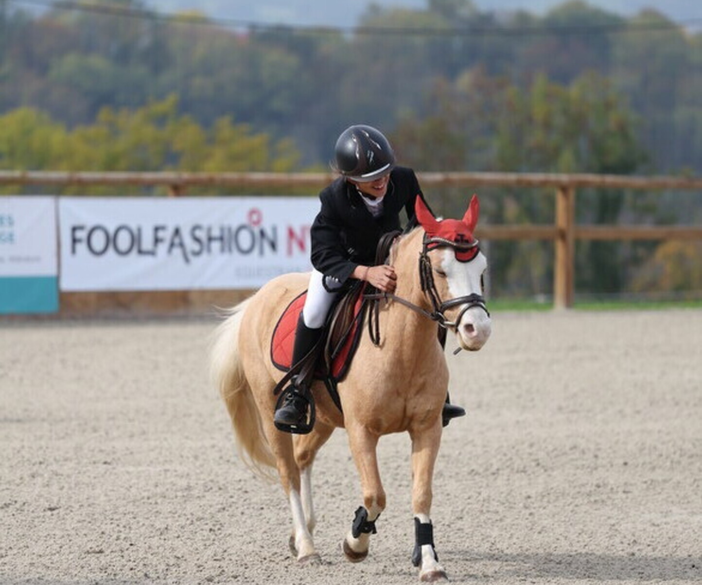 Description de l'image