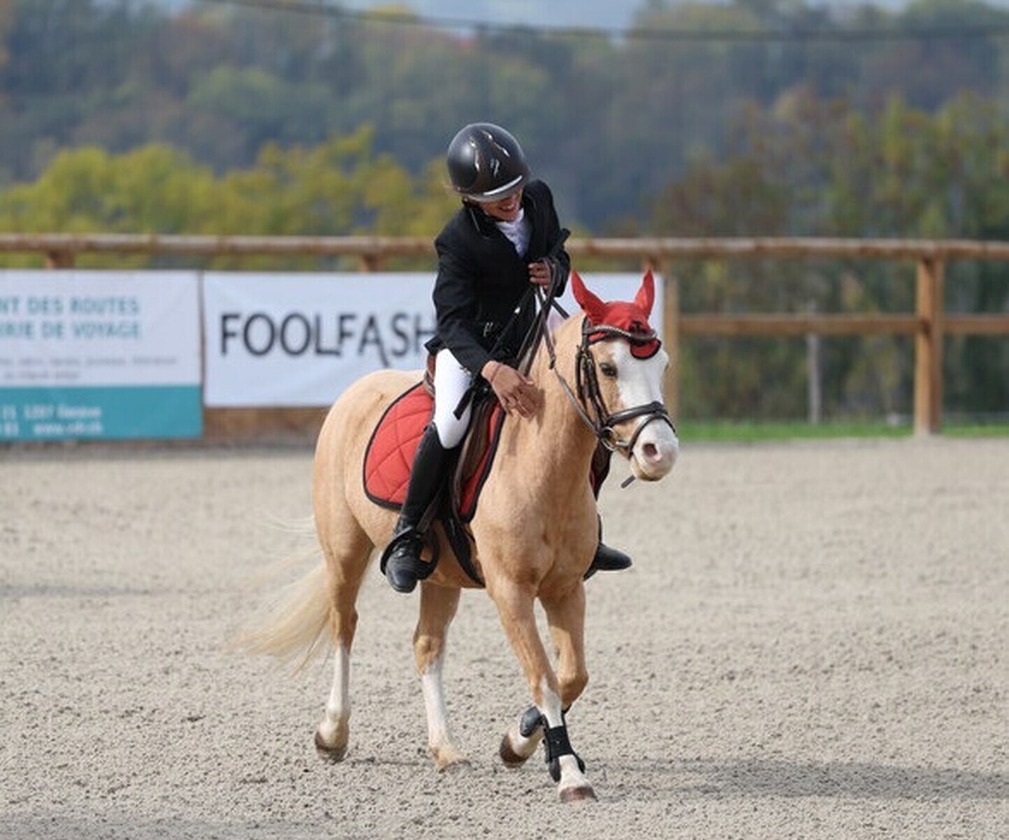 Description de l'image