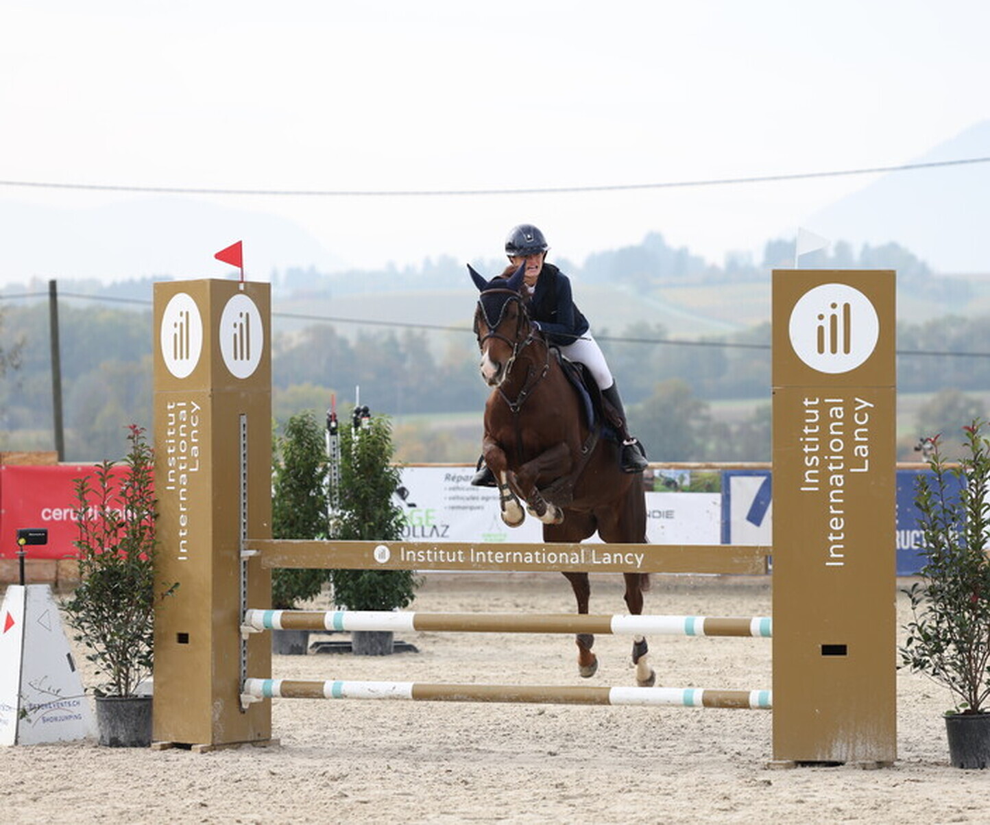 Description de l'image