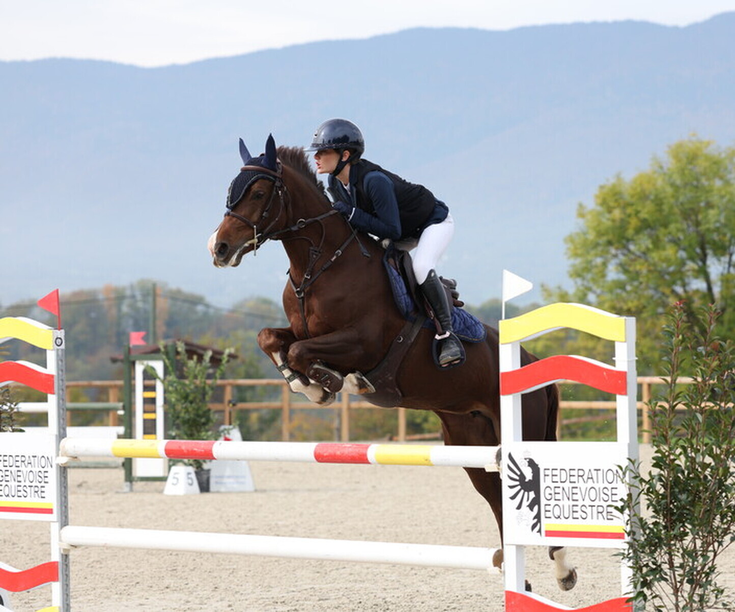 Description de l'image