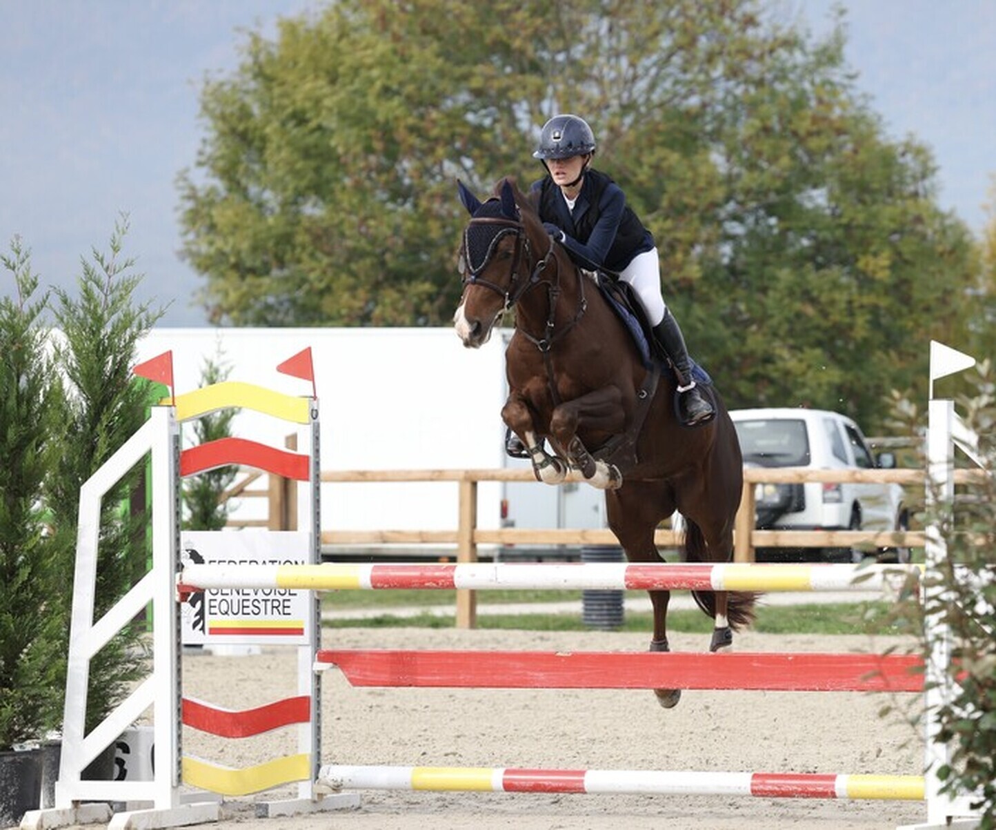 Description de l'image