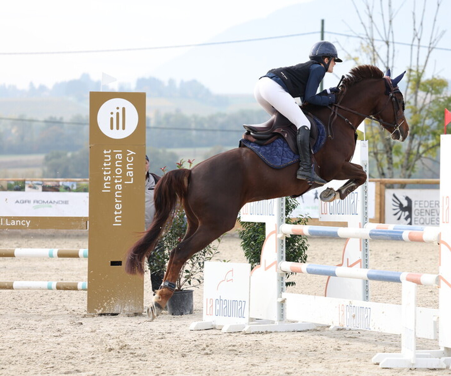 Description de l'image