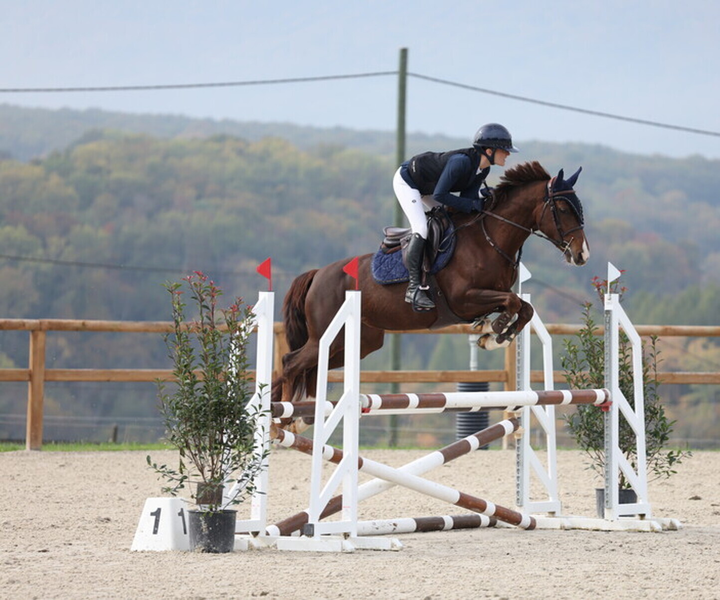 Description de l'image