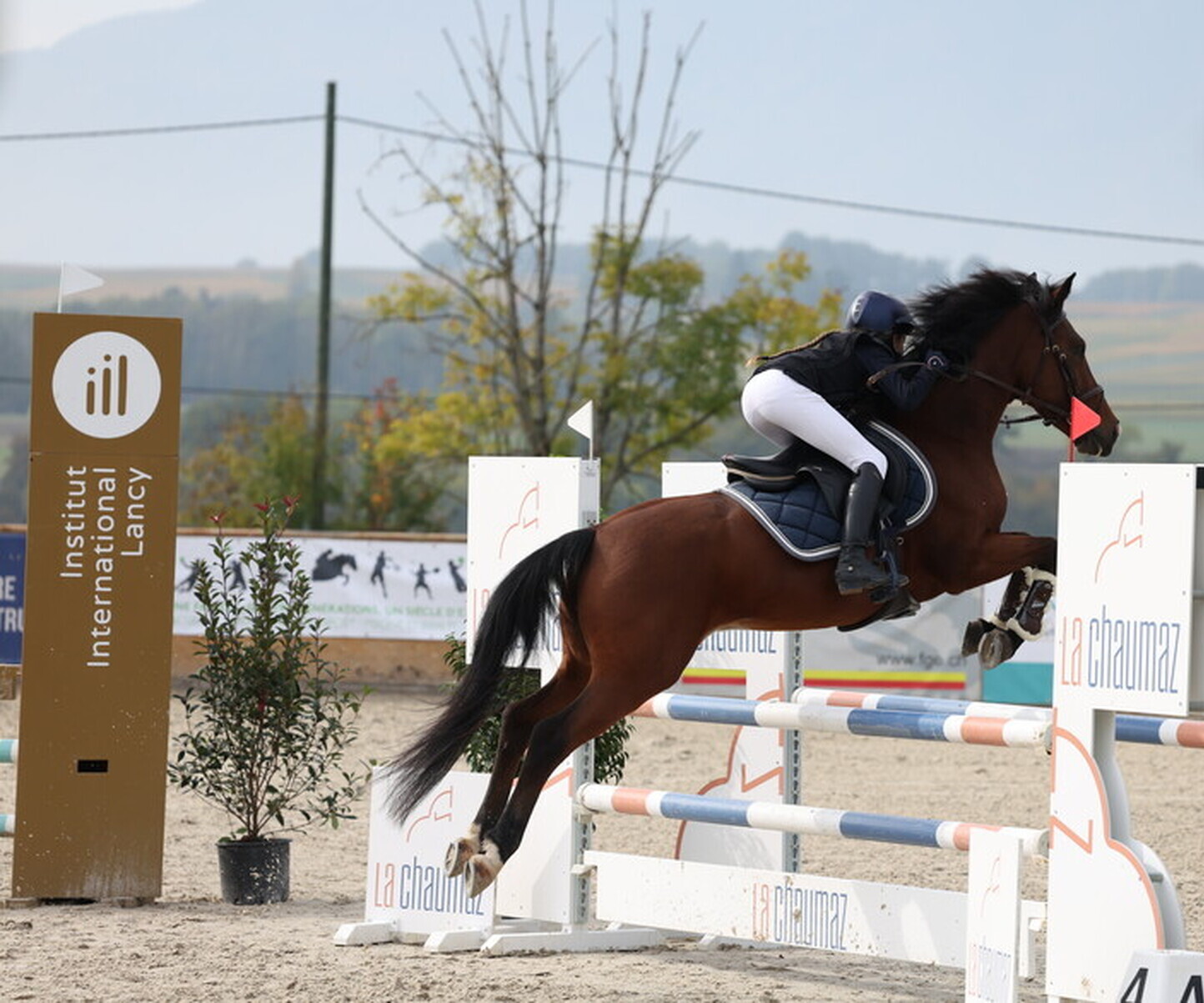 Description de l'image