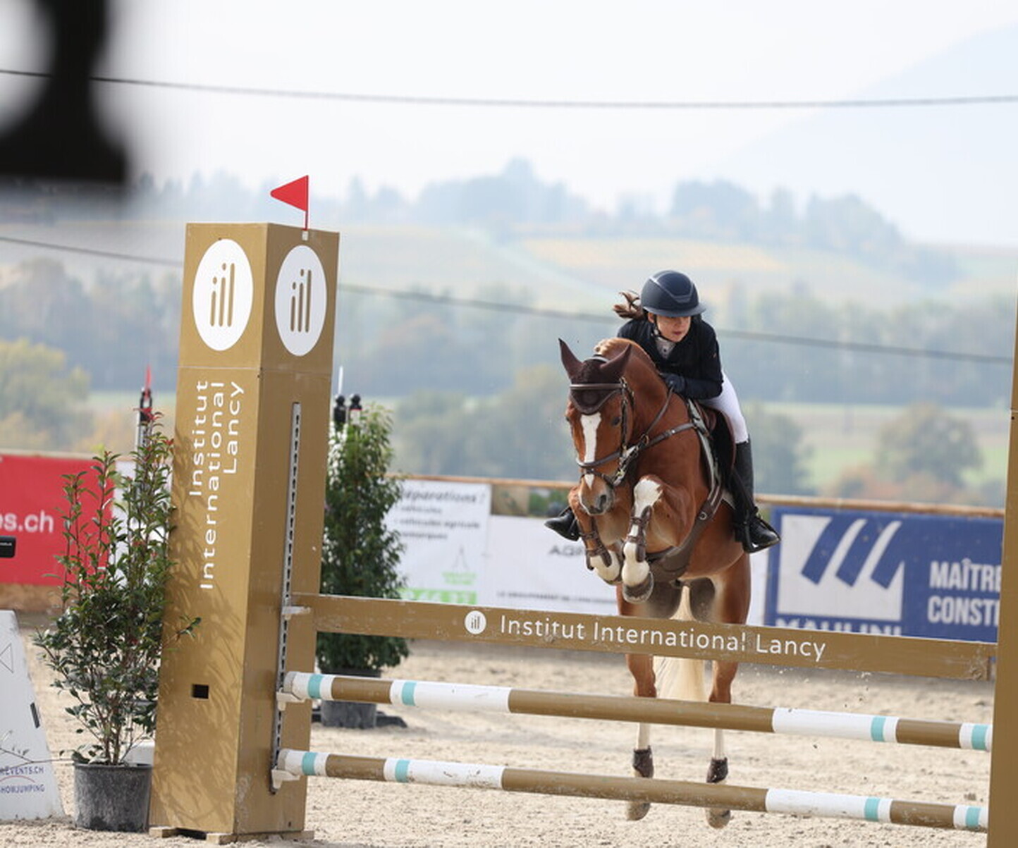 Description de l'image