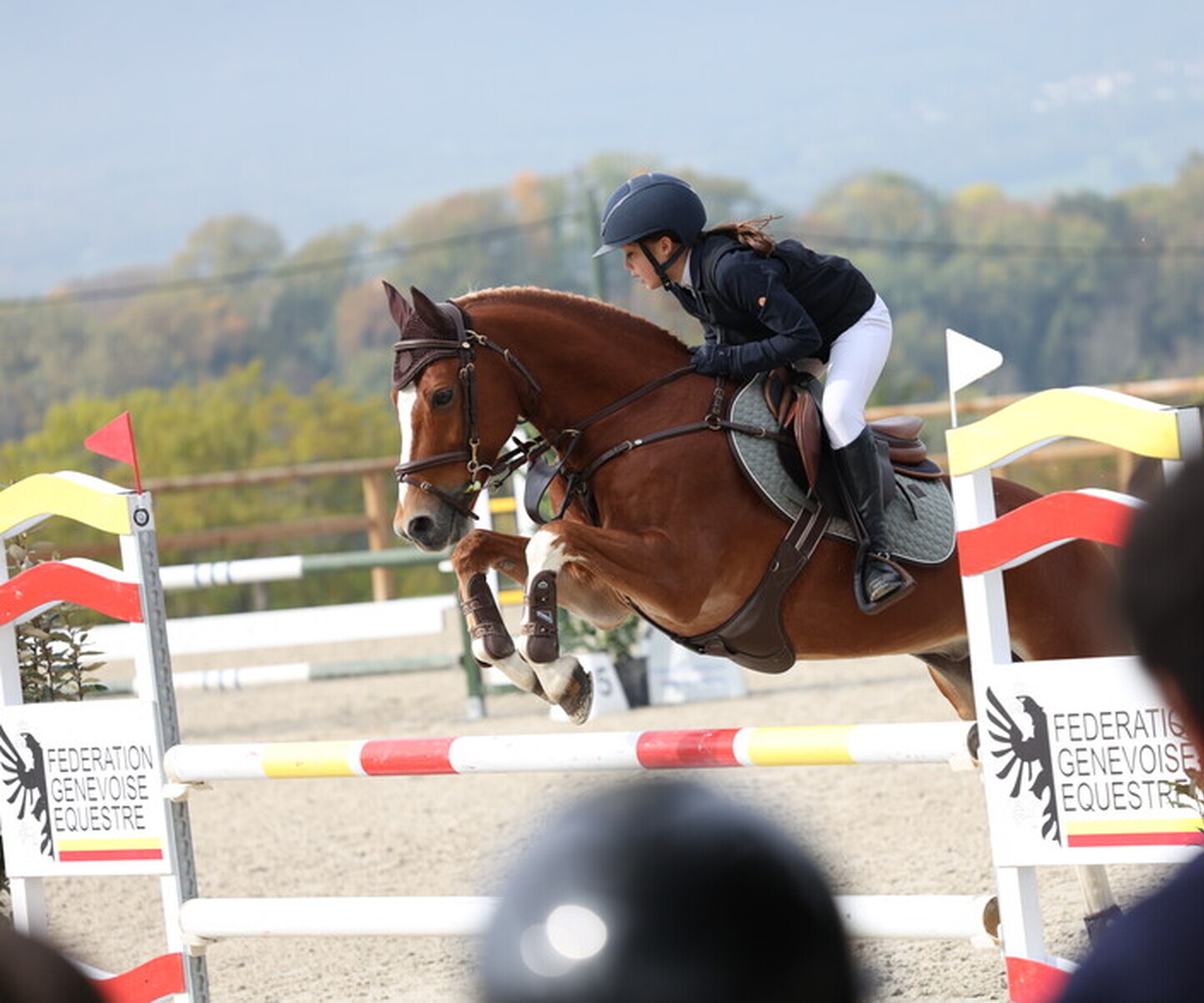 Description de l'image