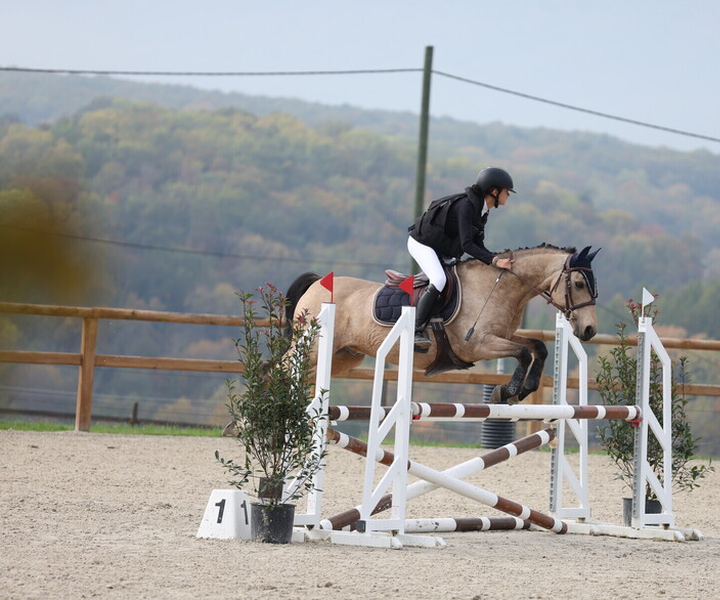 Description de l'image