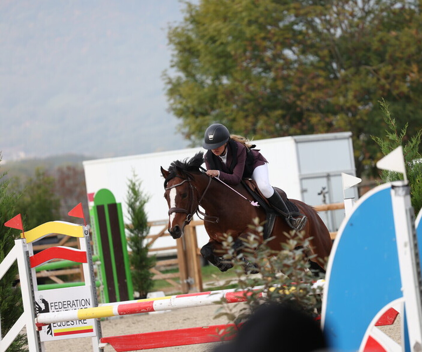 Description de l'image