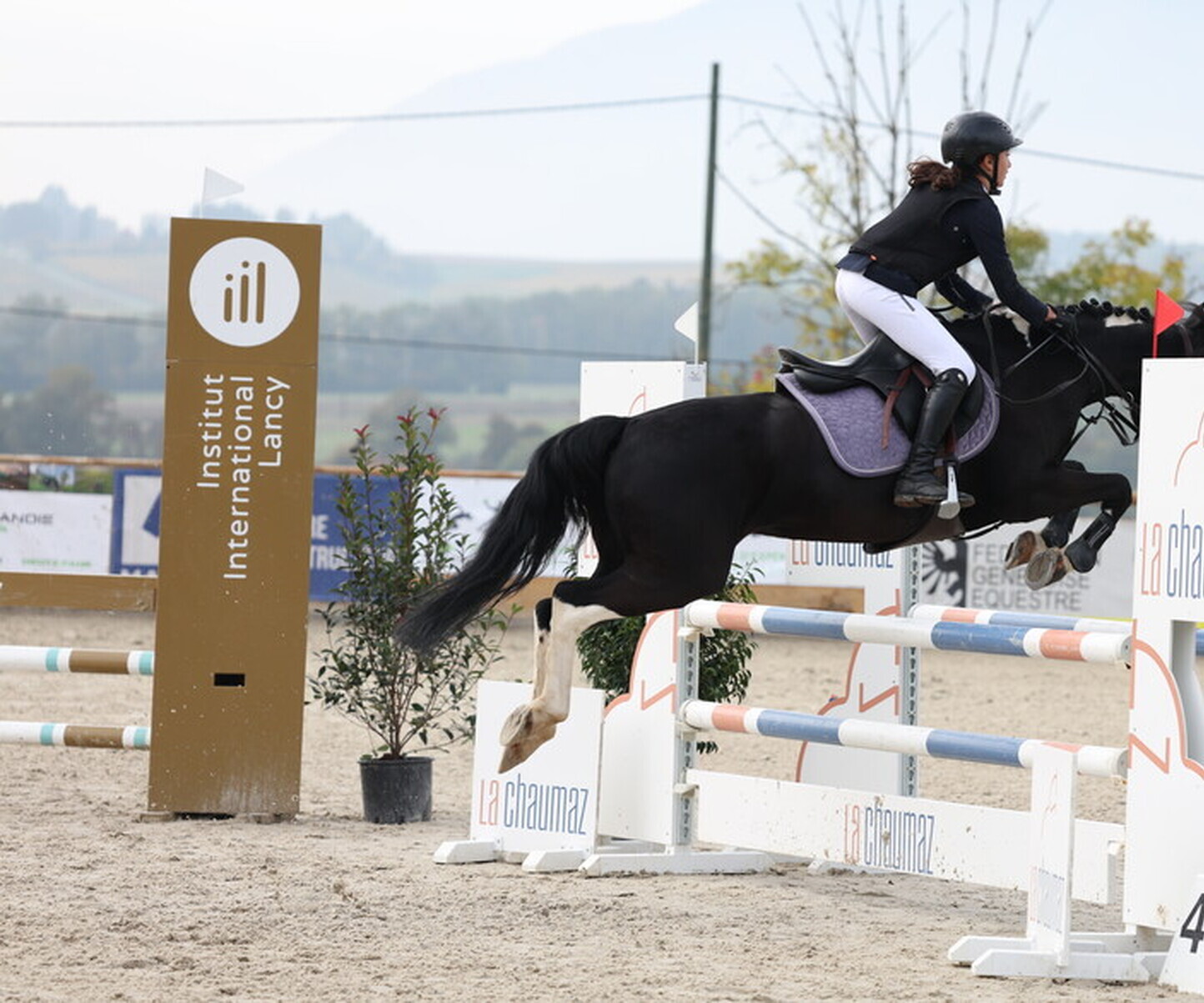 Description de l'image