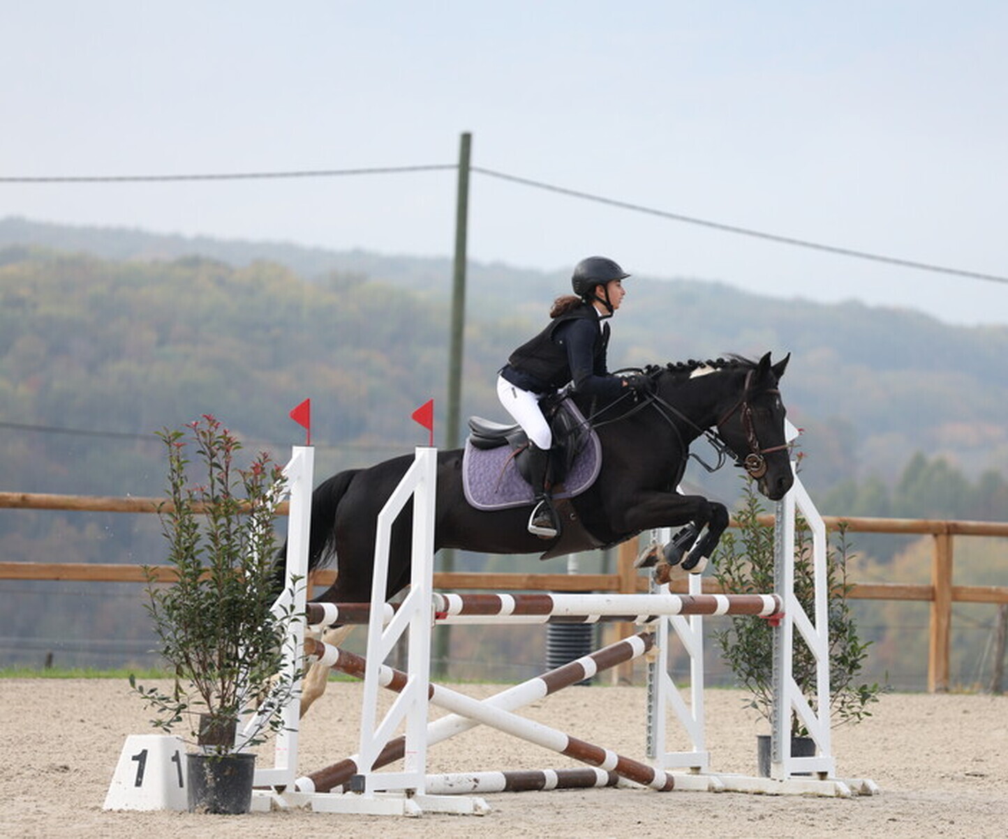 Description de l'image