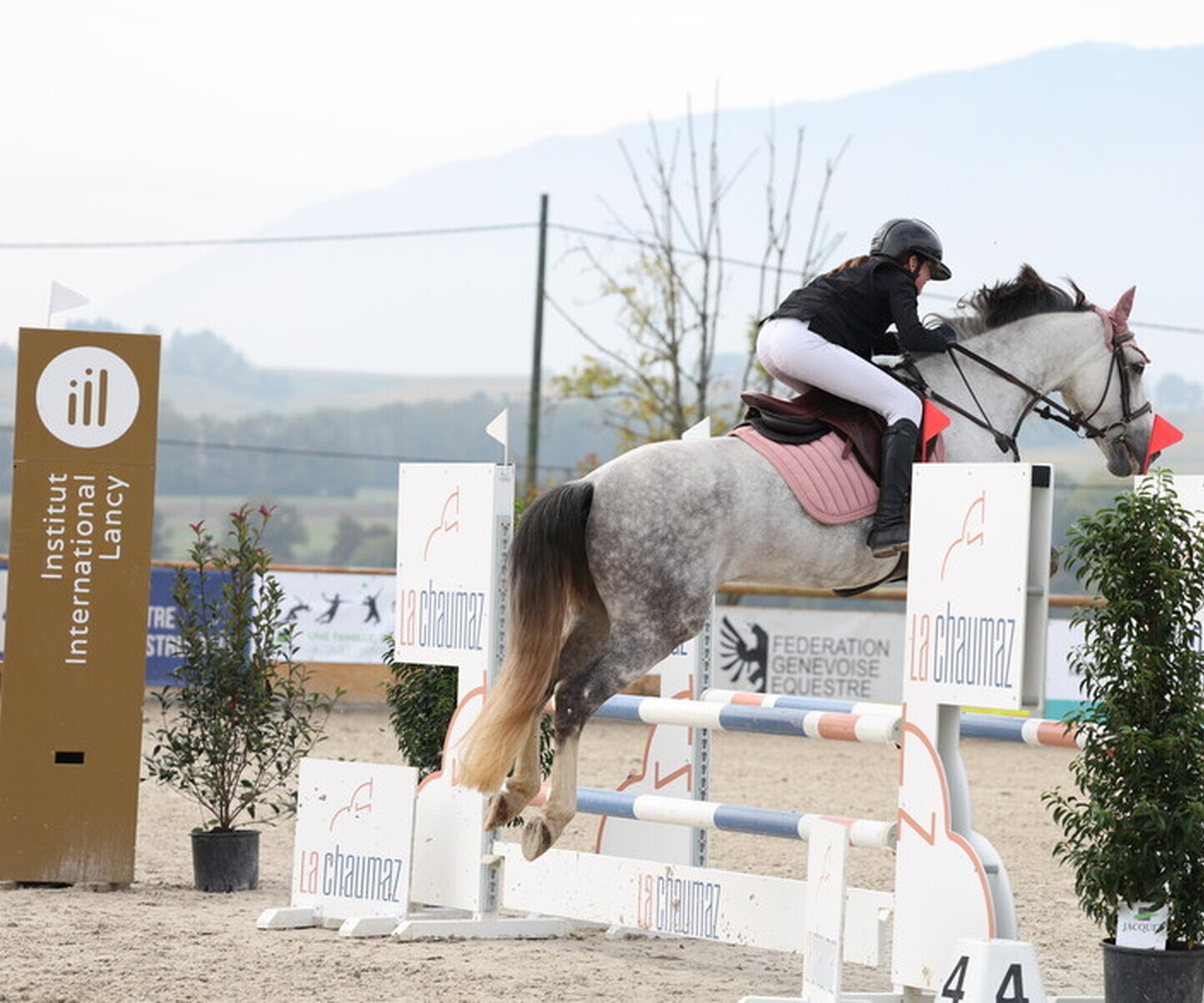 Description de l'image