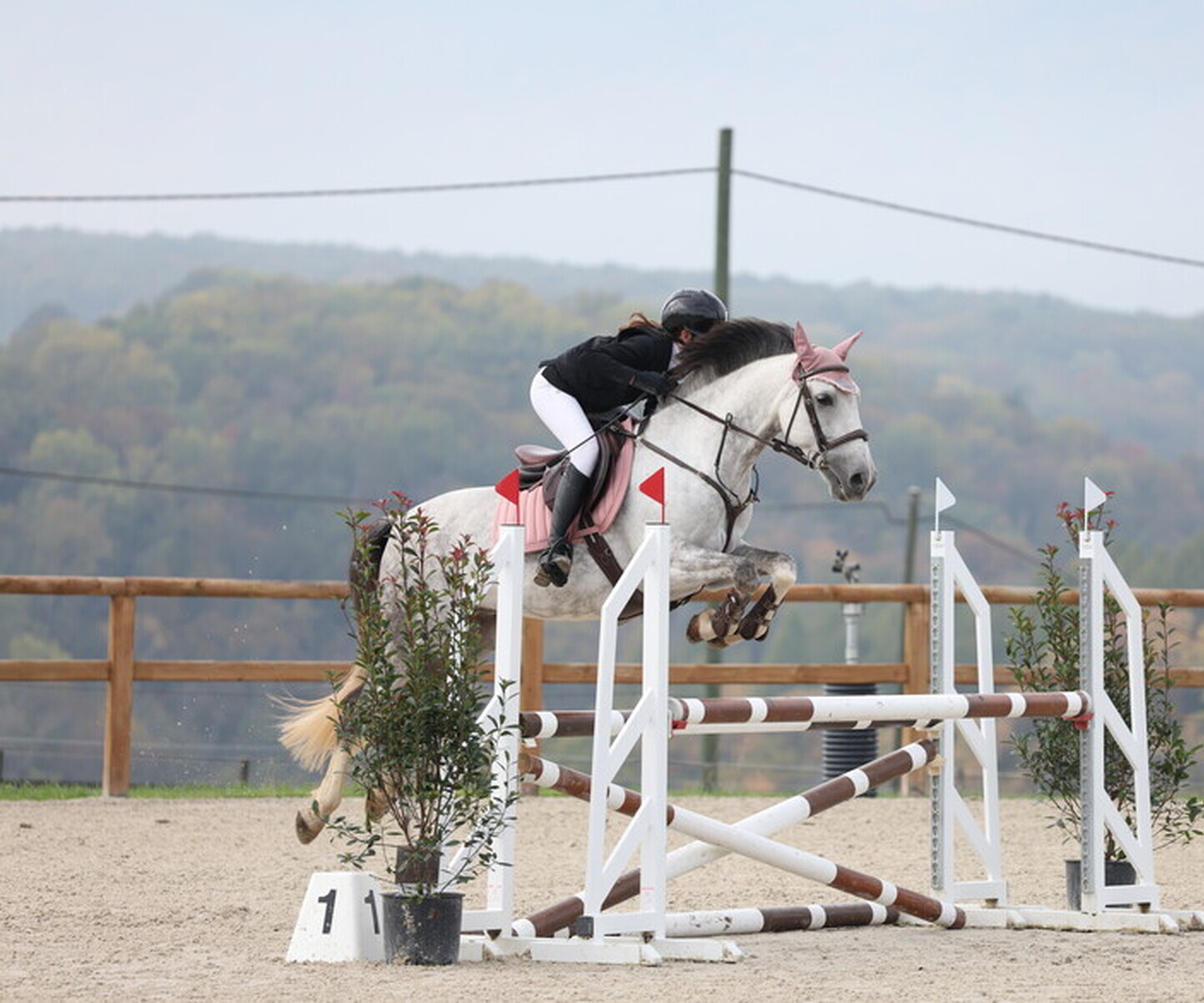 Description de l'image