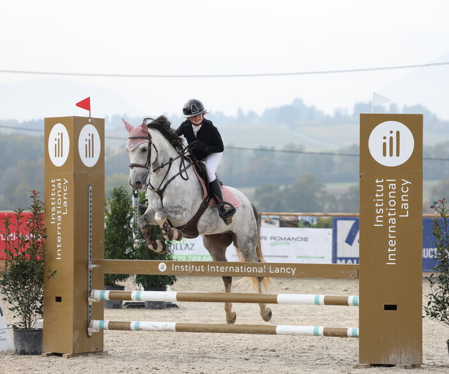 Description de l'image