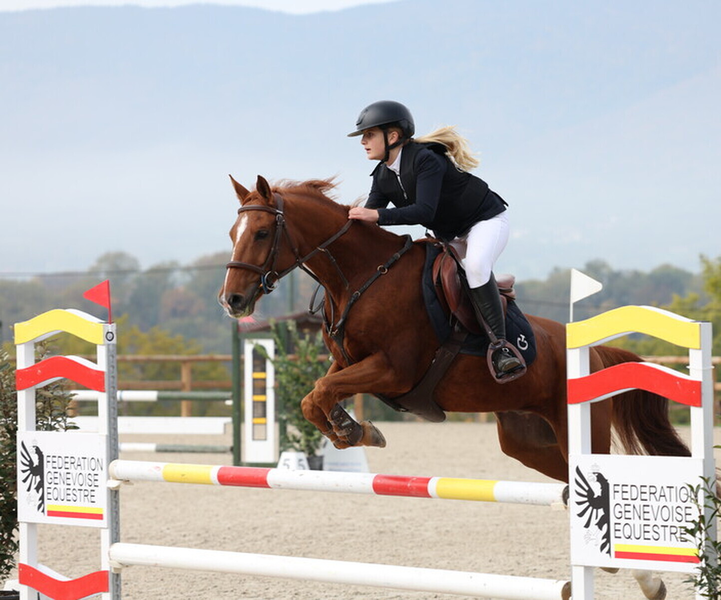 Description de l'image