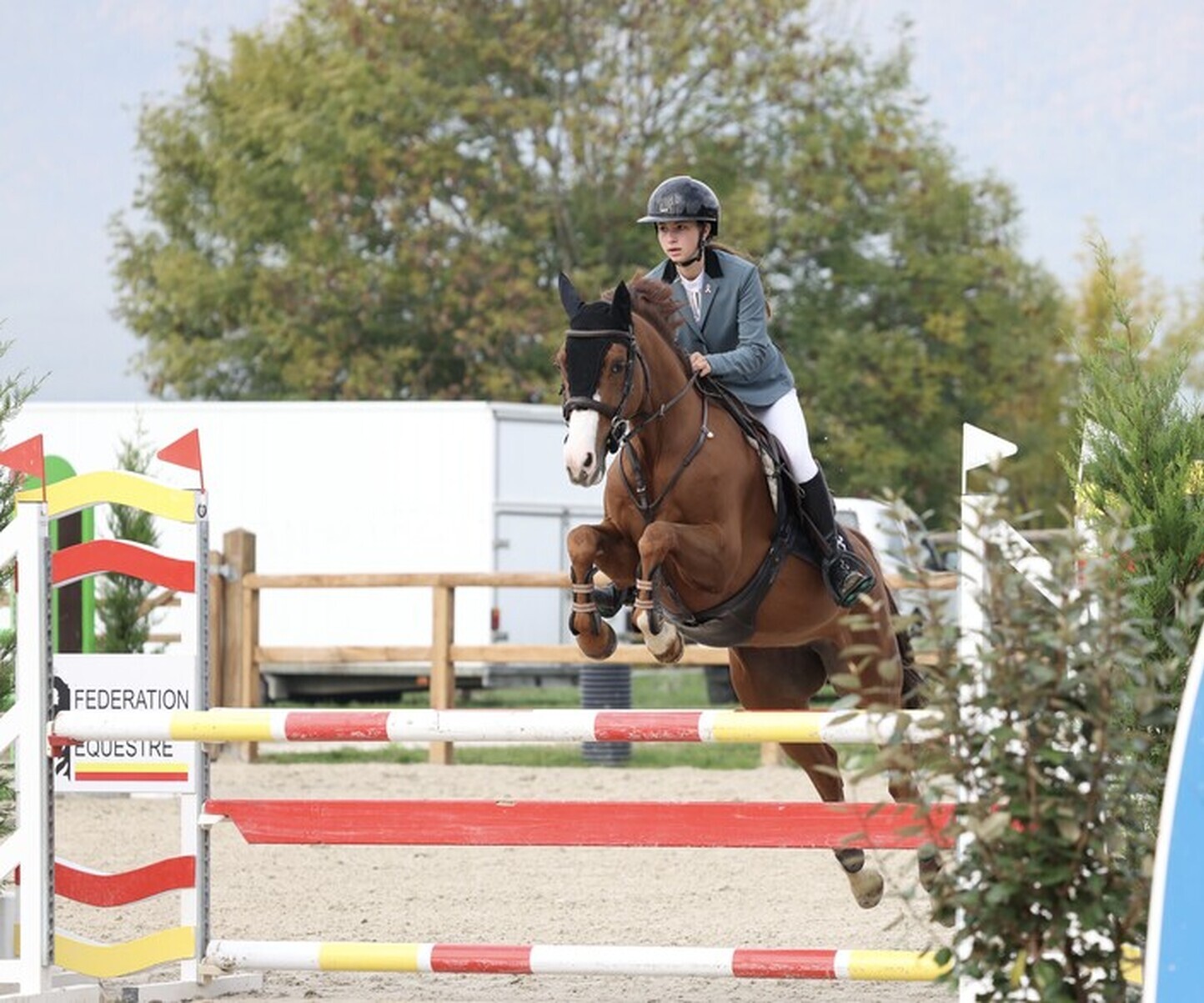 Description de l'image