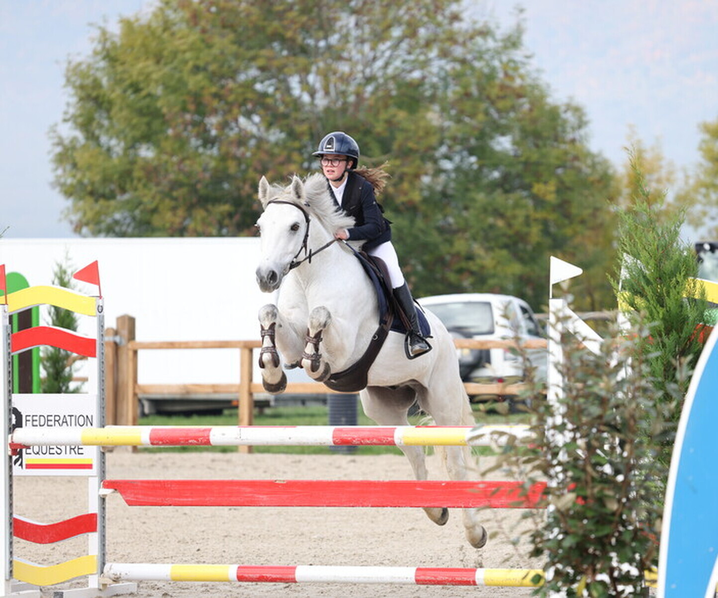 Description de l'image