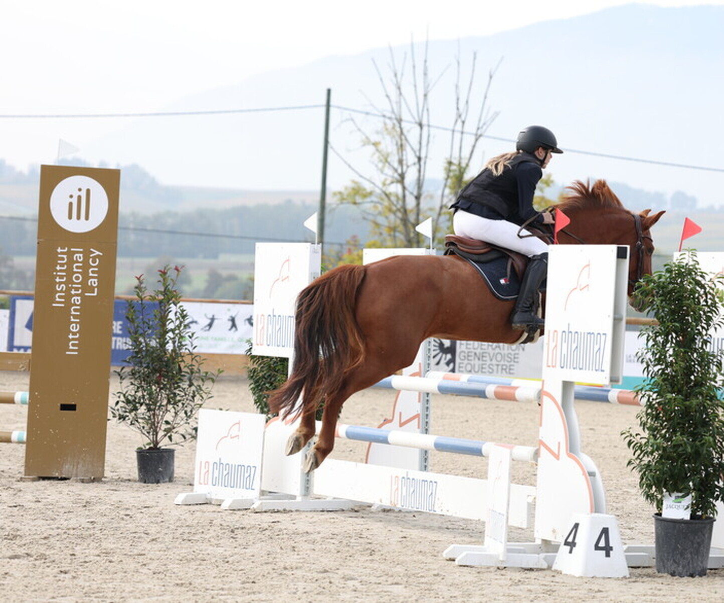 Description de l'image