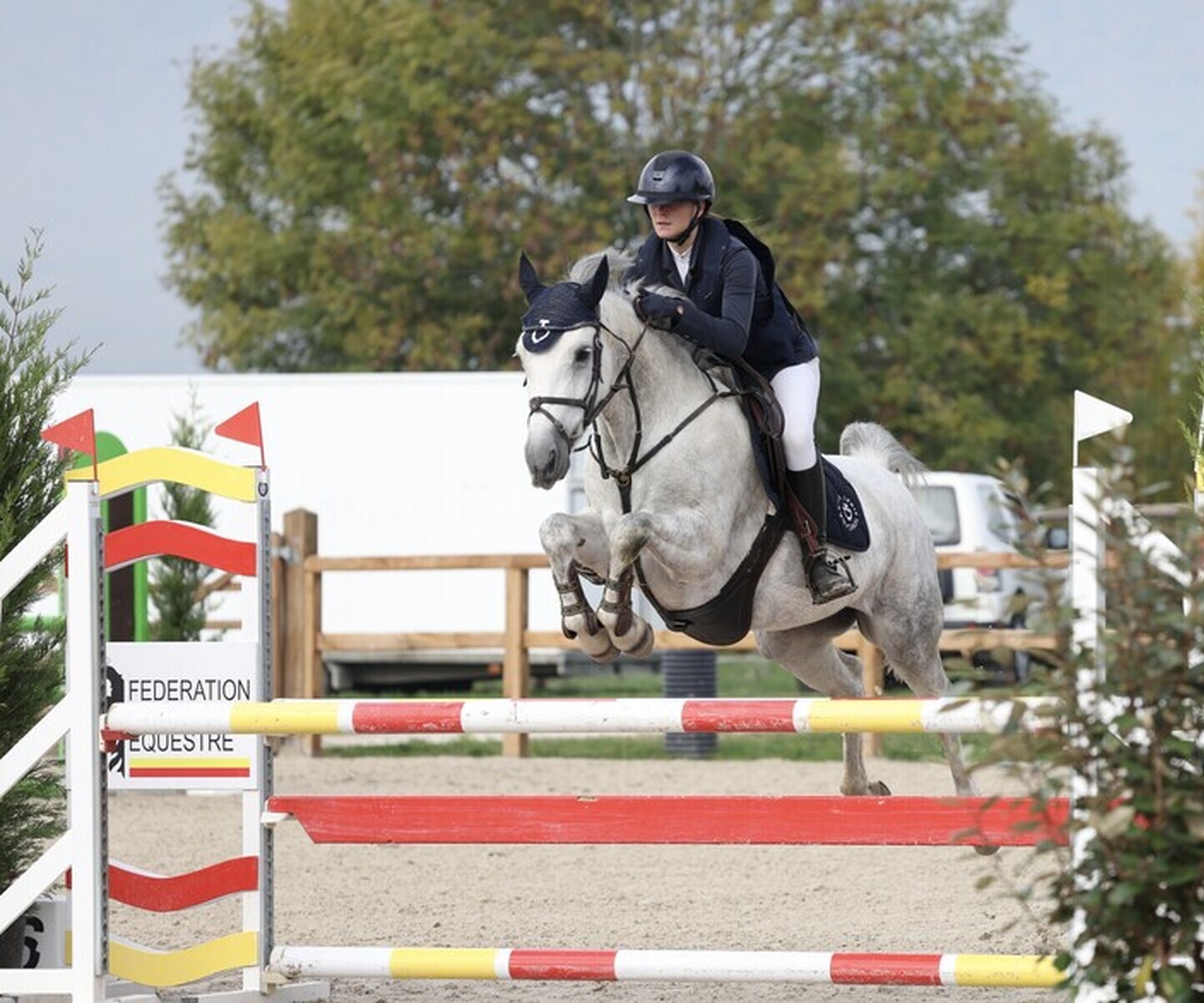 Description de l'image