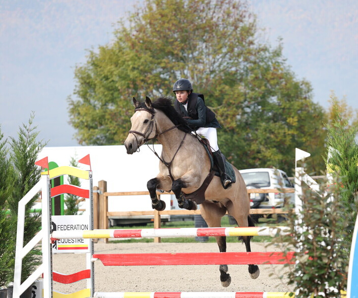 Description de l'image