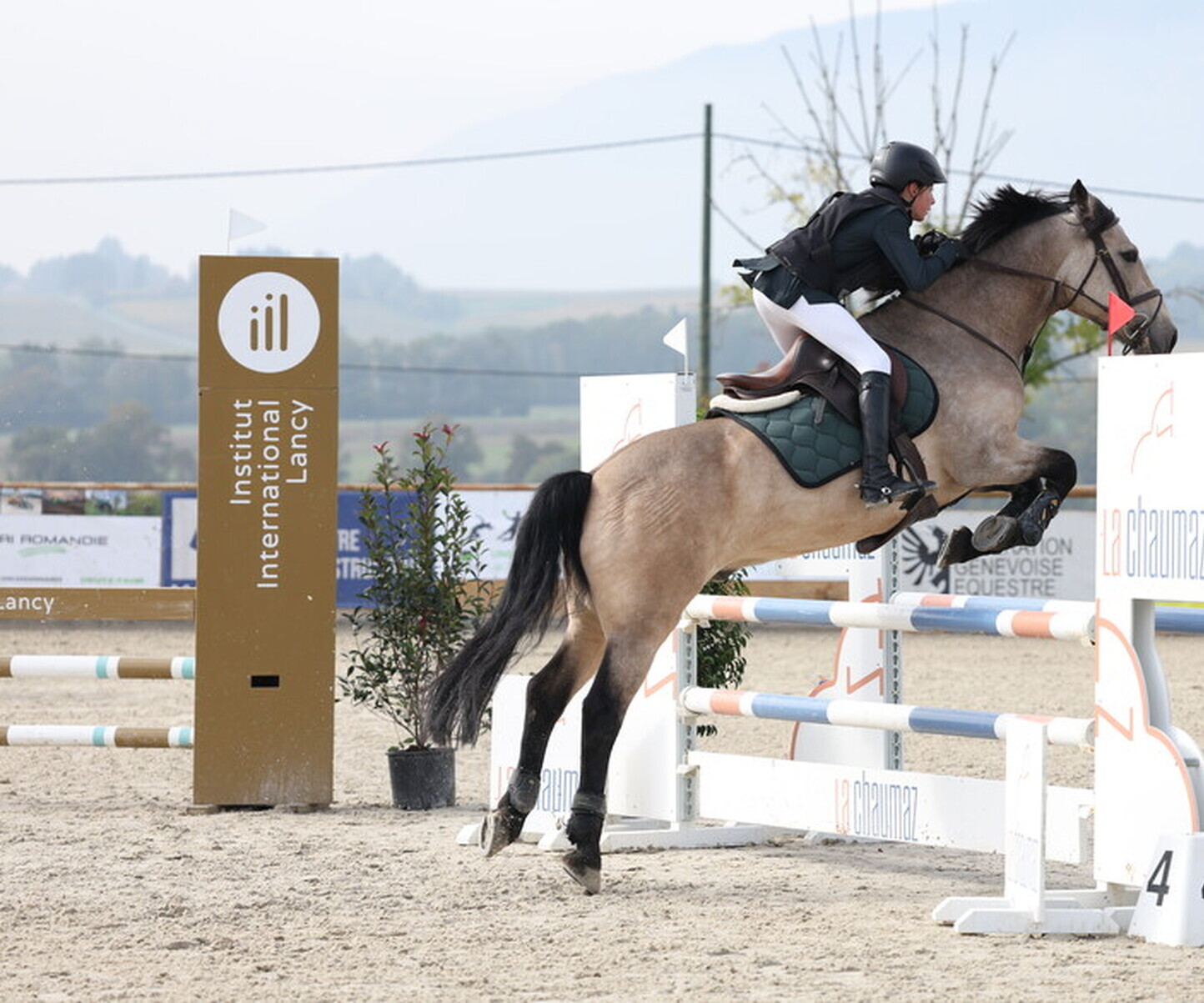 Description de l'image